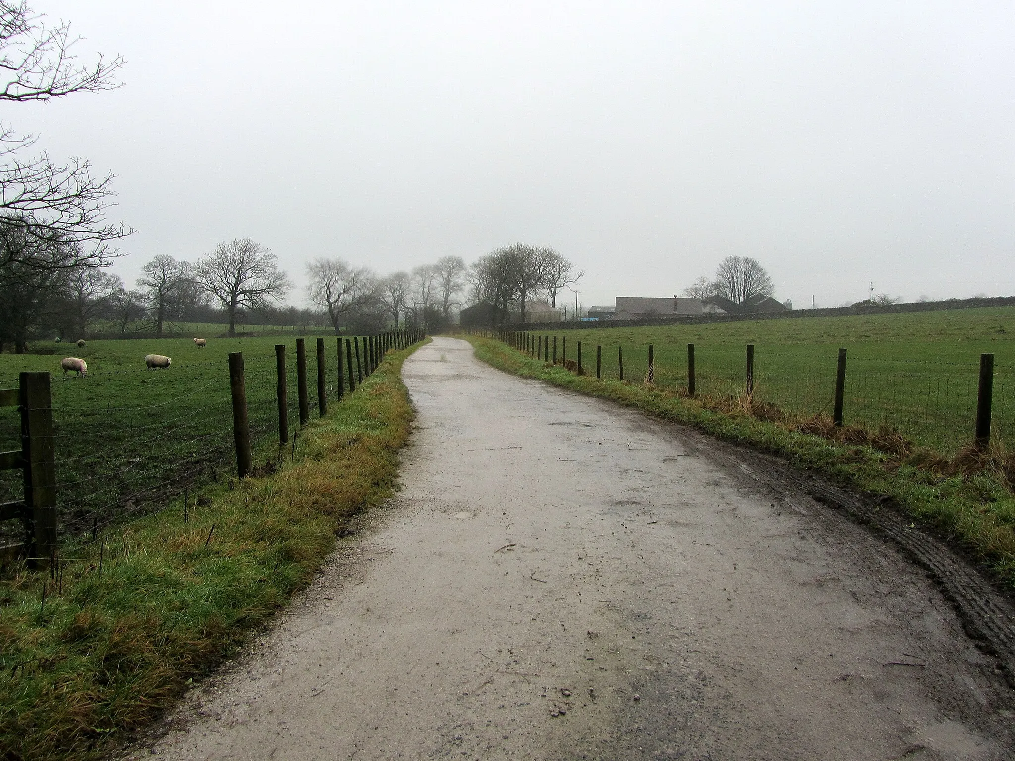Photo showing: Access Drive to Coverdale