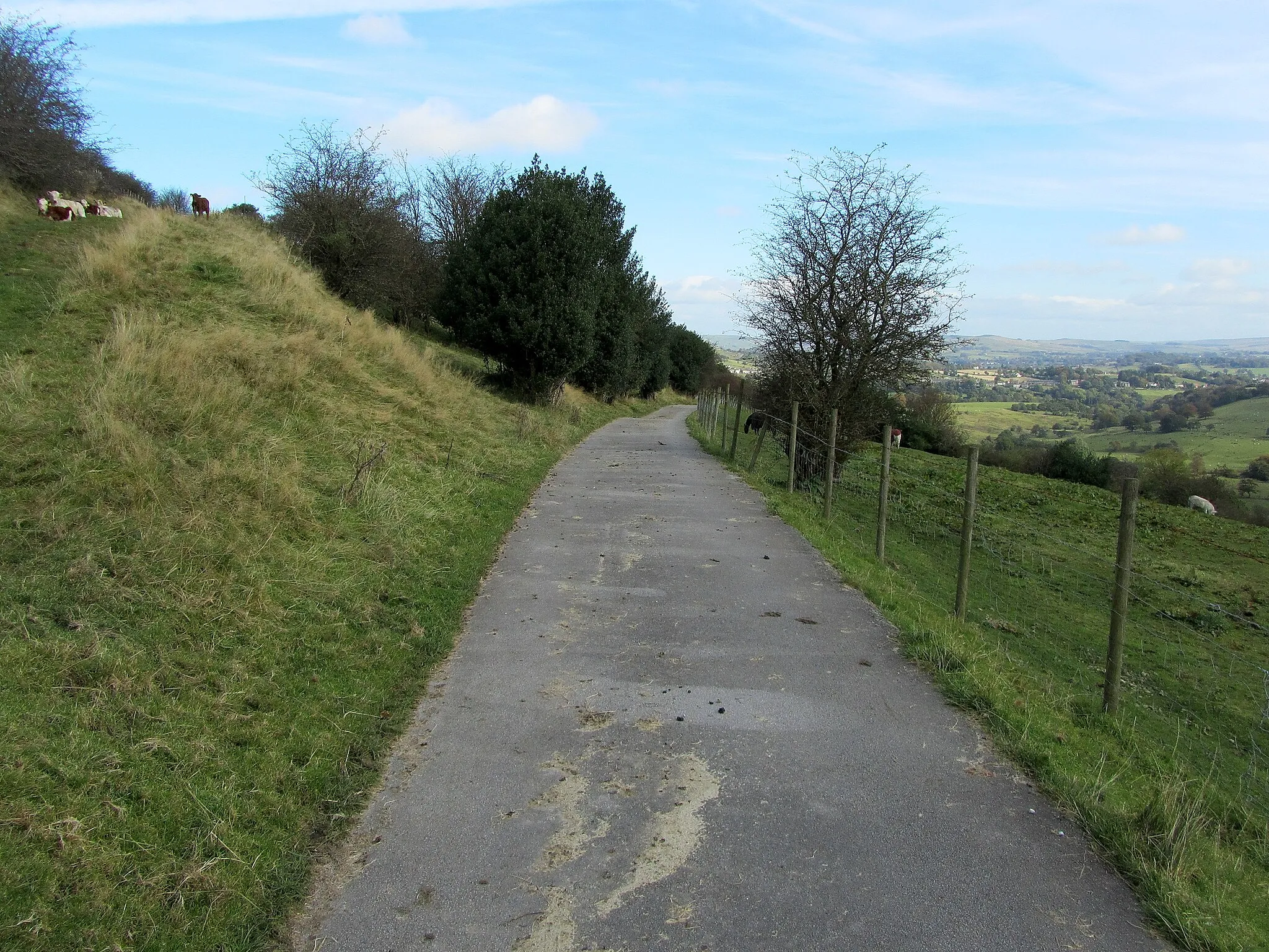 Photo showing: Access Lane to Hollin Top