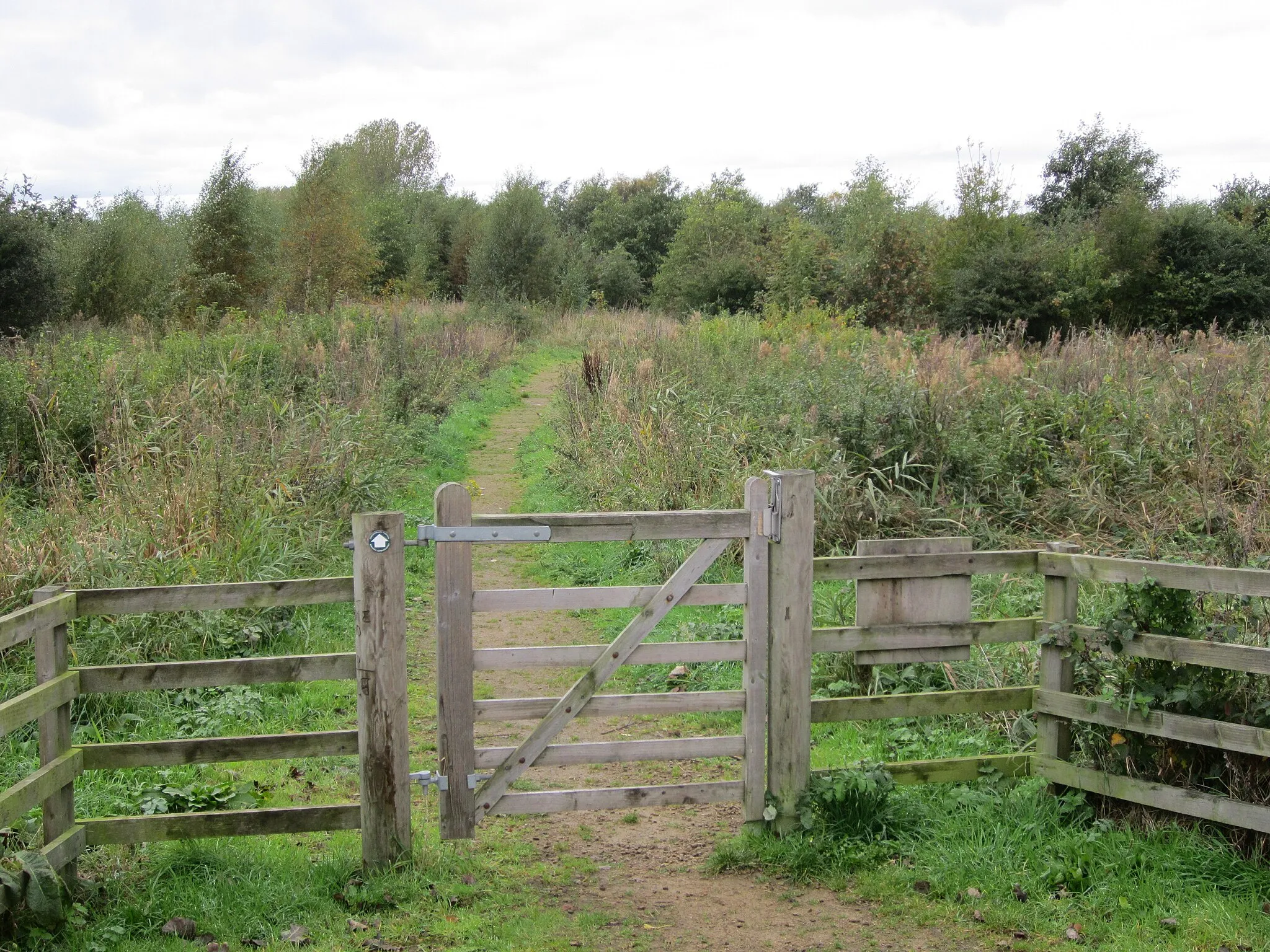 Photo showing: Burscough Bridge to Martin Mere footpath crosses Marsh Moss Lane at Tarlscough, Lancashire, England.