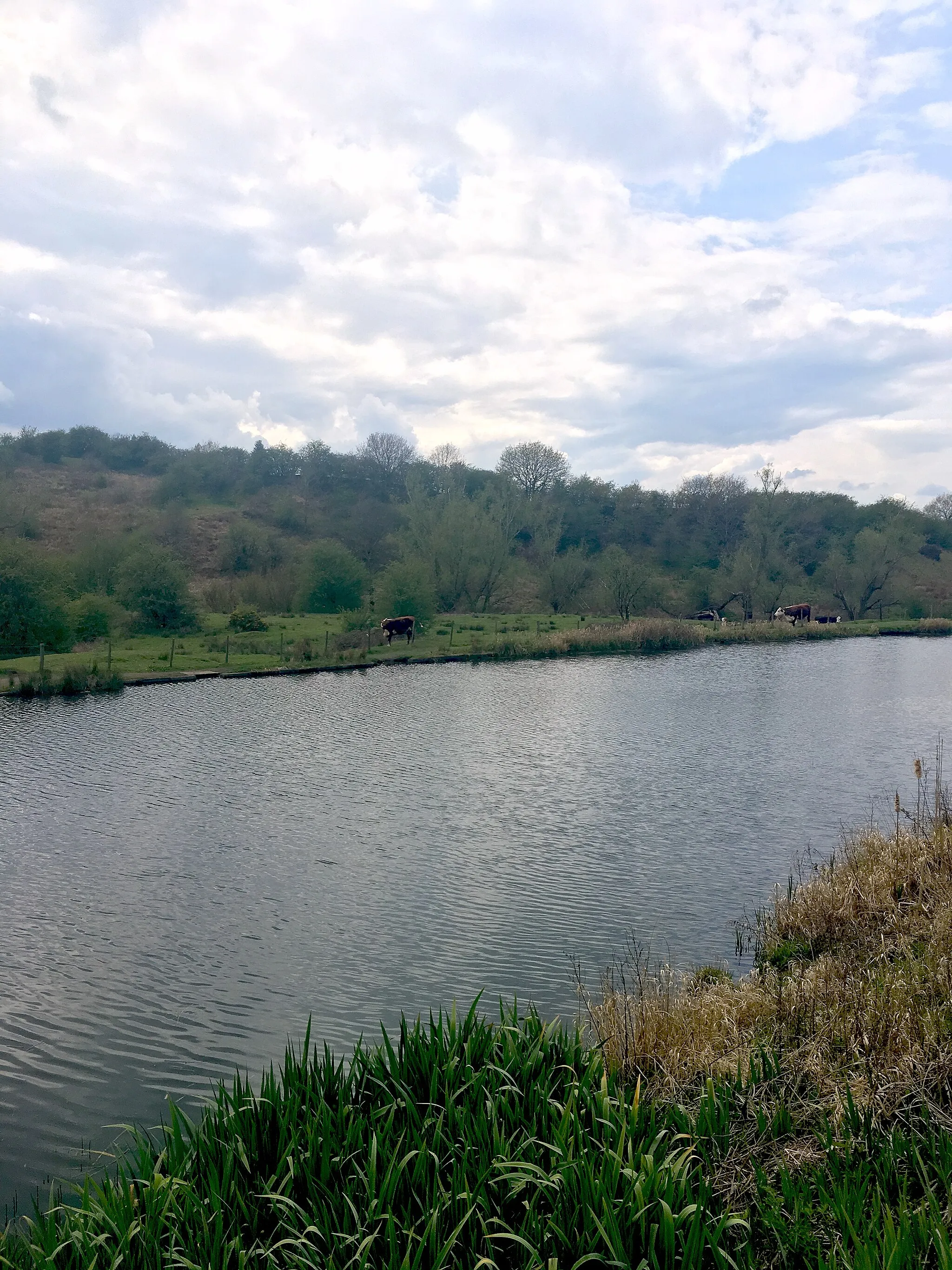 Photo showing: The Cut is a fishing ground located within the Hollins Vale nature reserve, Unsworth. It is maintained by the Unsworth Anglers and can be found on the north side of the reserve.