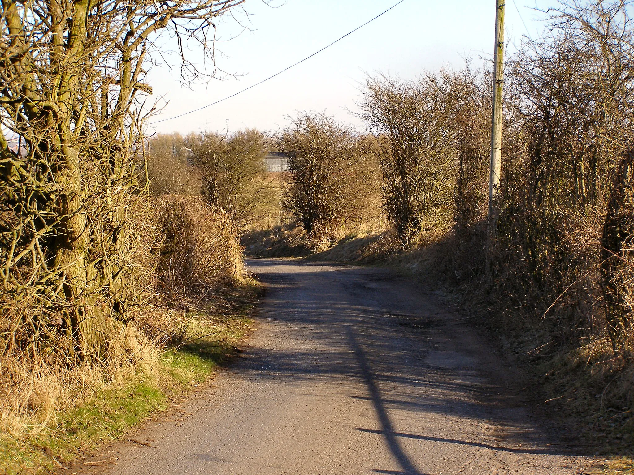 Photo showing: Griffe Lane