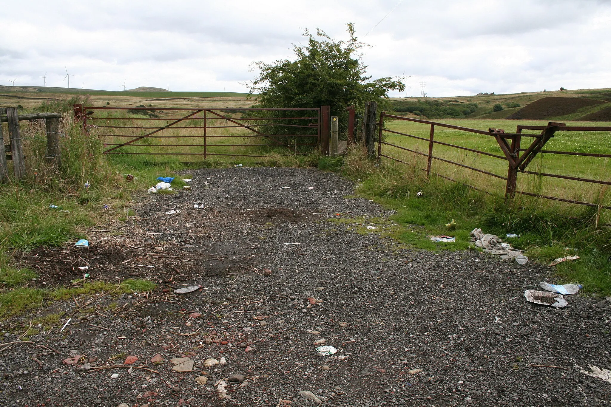 Photo showing: Litter on Croston Close Road