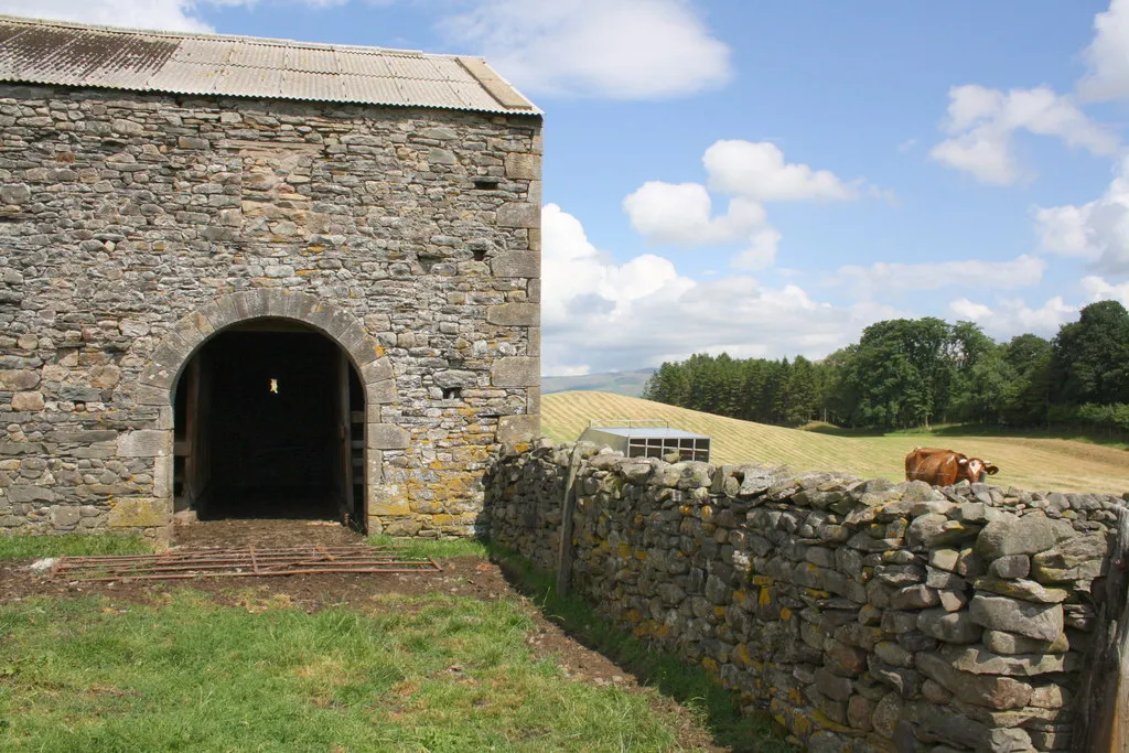 Photo showing: Arched barn and cow near Gill Foot Farm