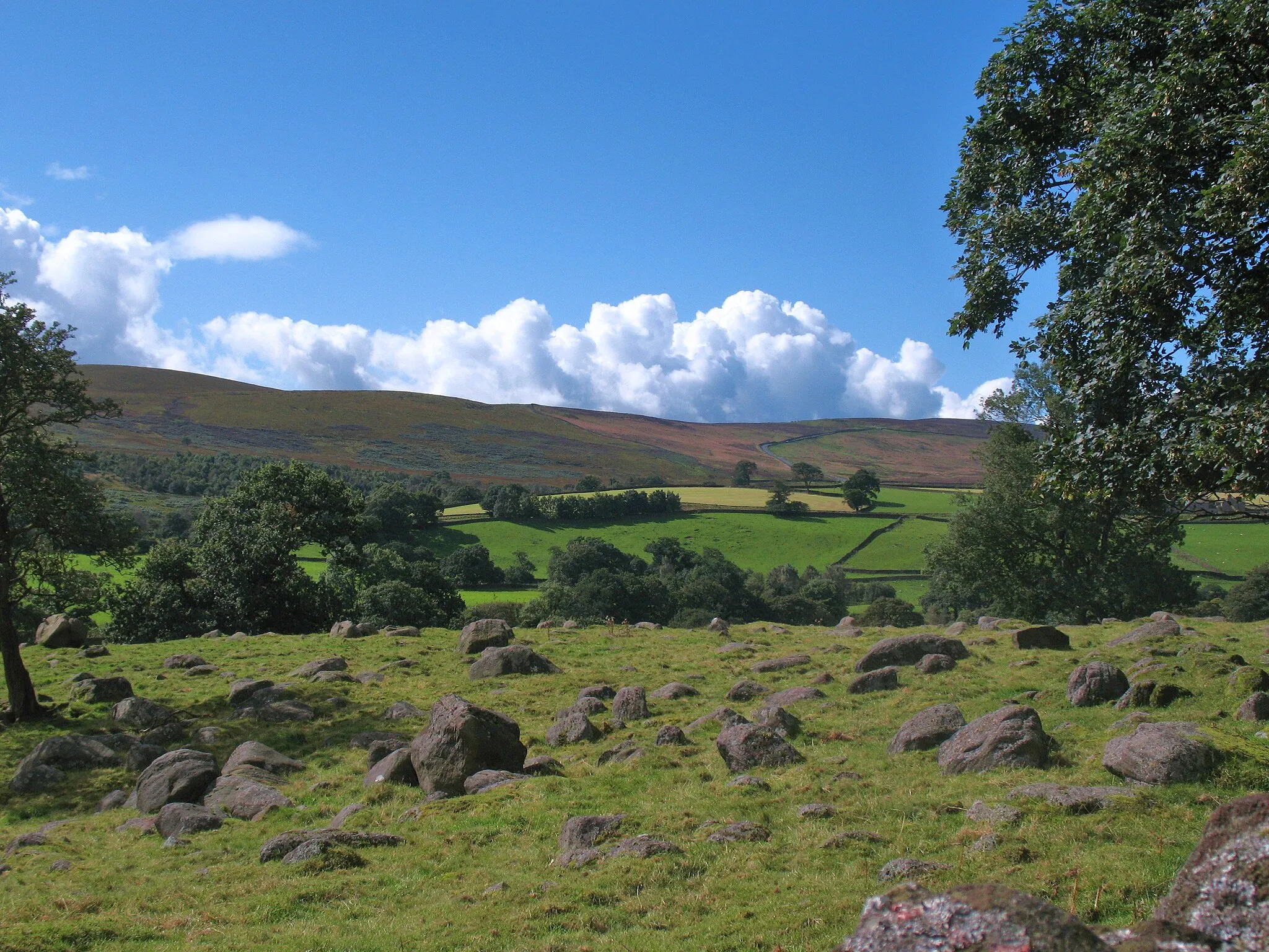 Photo showing: A Wharfedale view