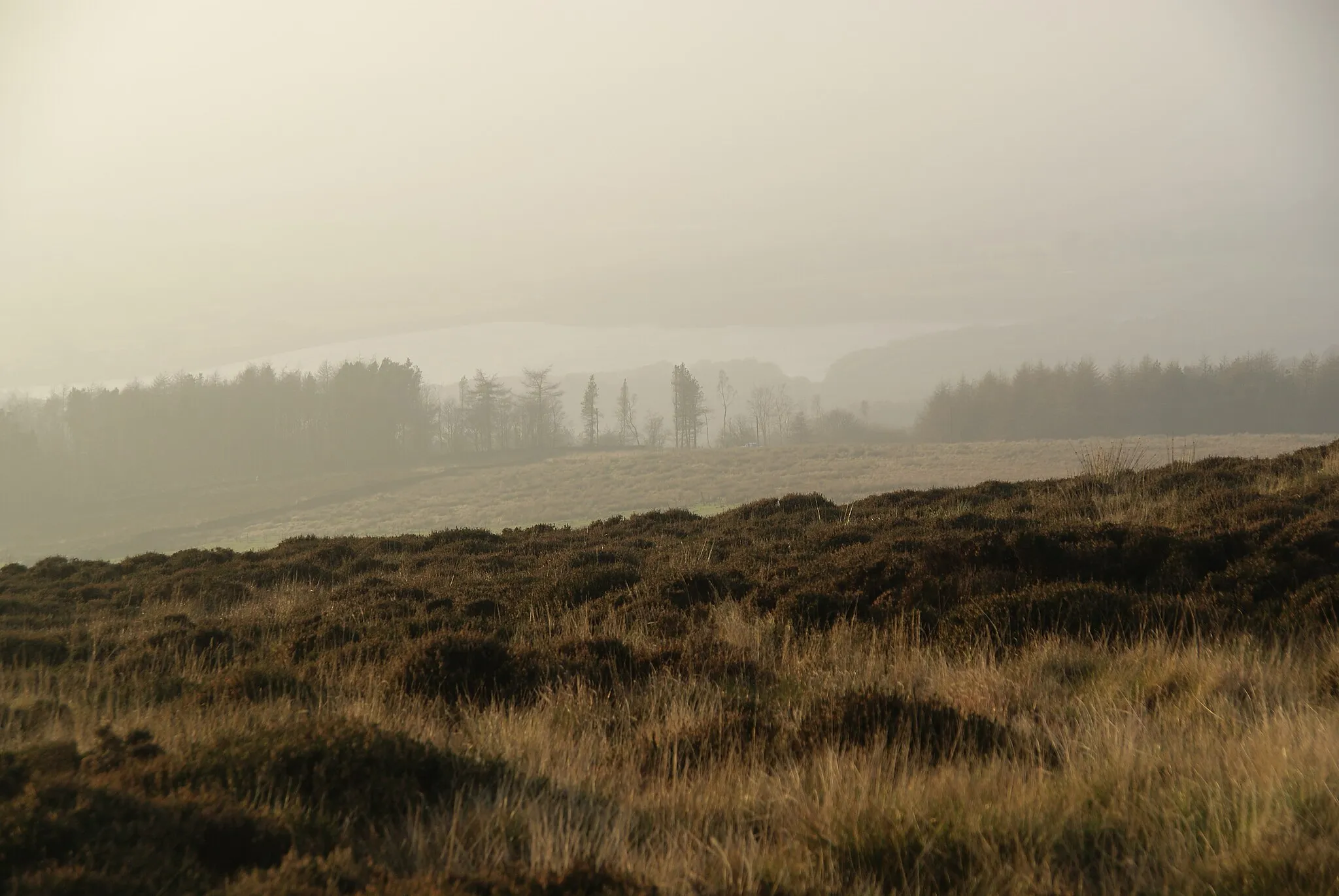 Photo showing: Hillside on Adam Hill