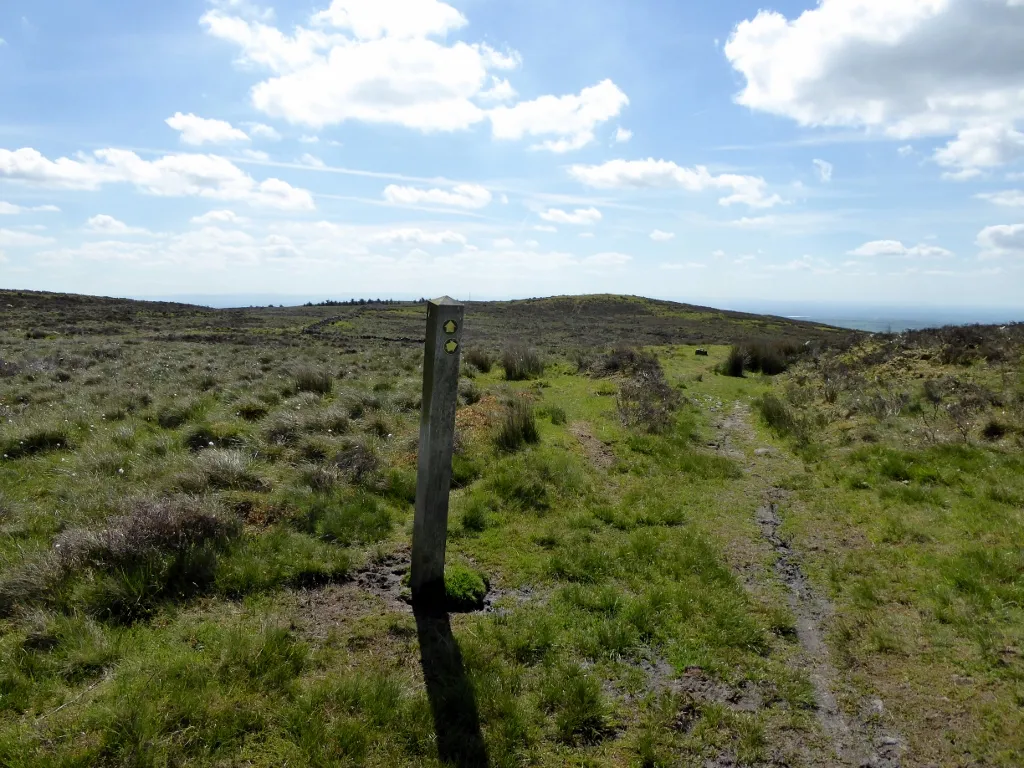 Photo showing: Way marker near Adam Hill