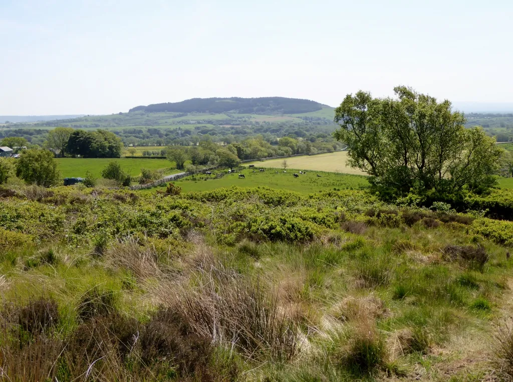 Photo showing: From Delph Lane quarry