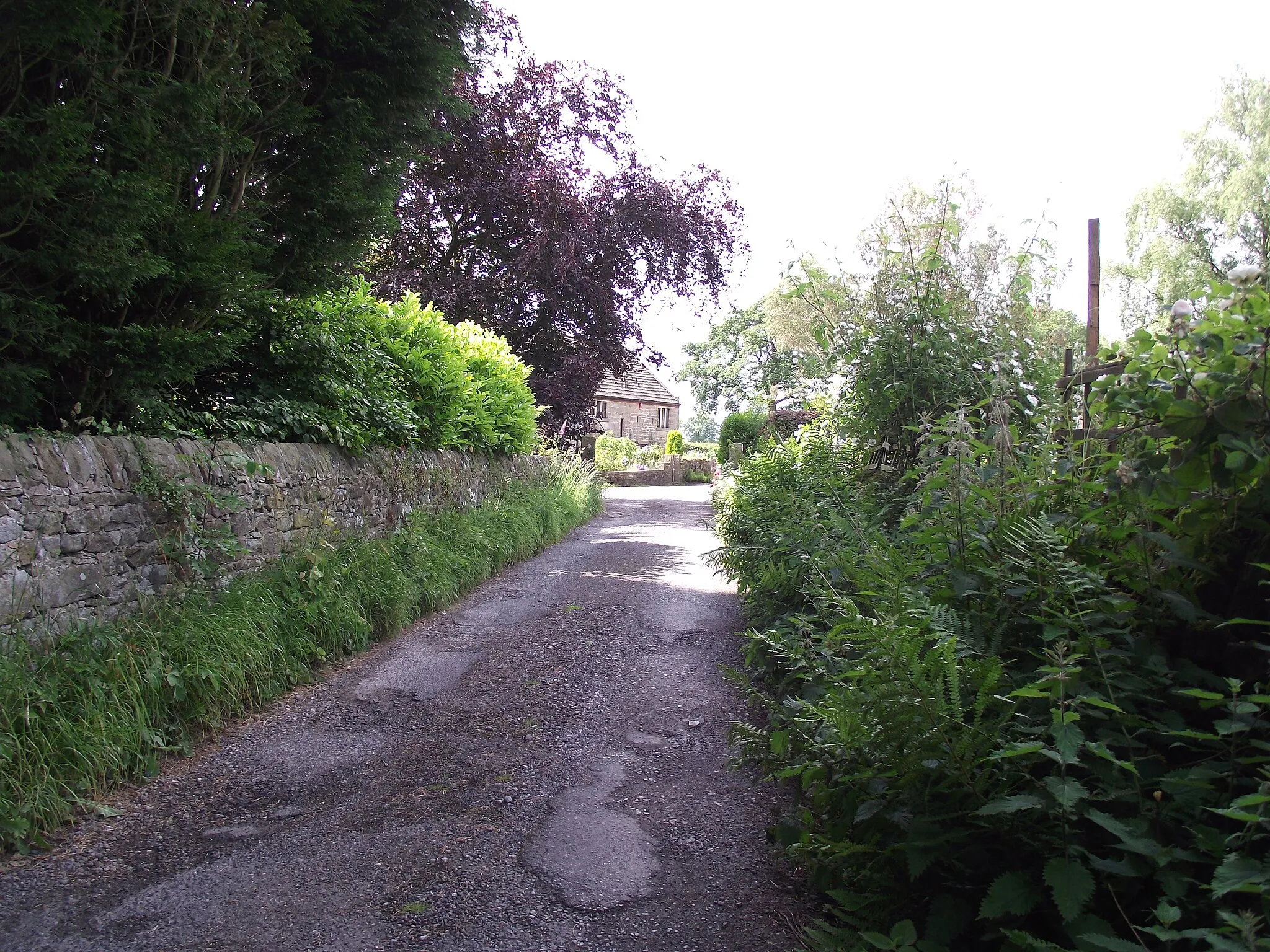 Photo showing: Lane at Knowle Green
