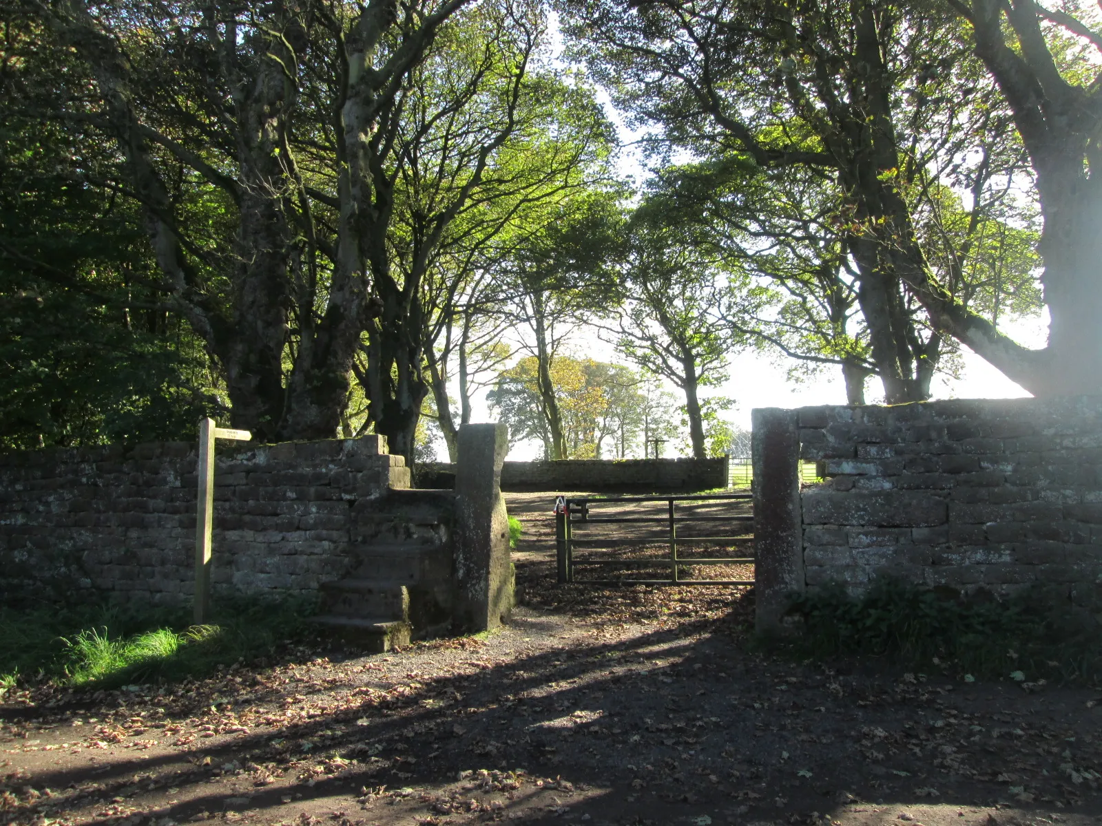 Photo showing: Bridleway to Cross Gates from Altar Lane