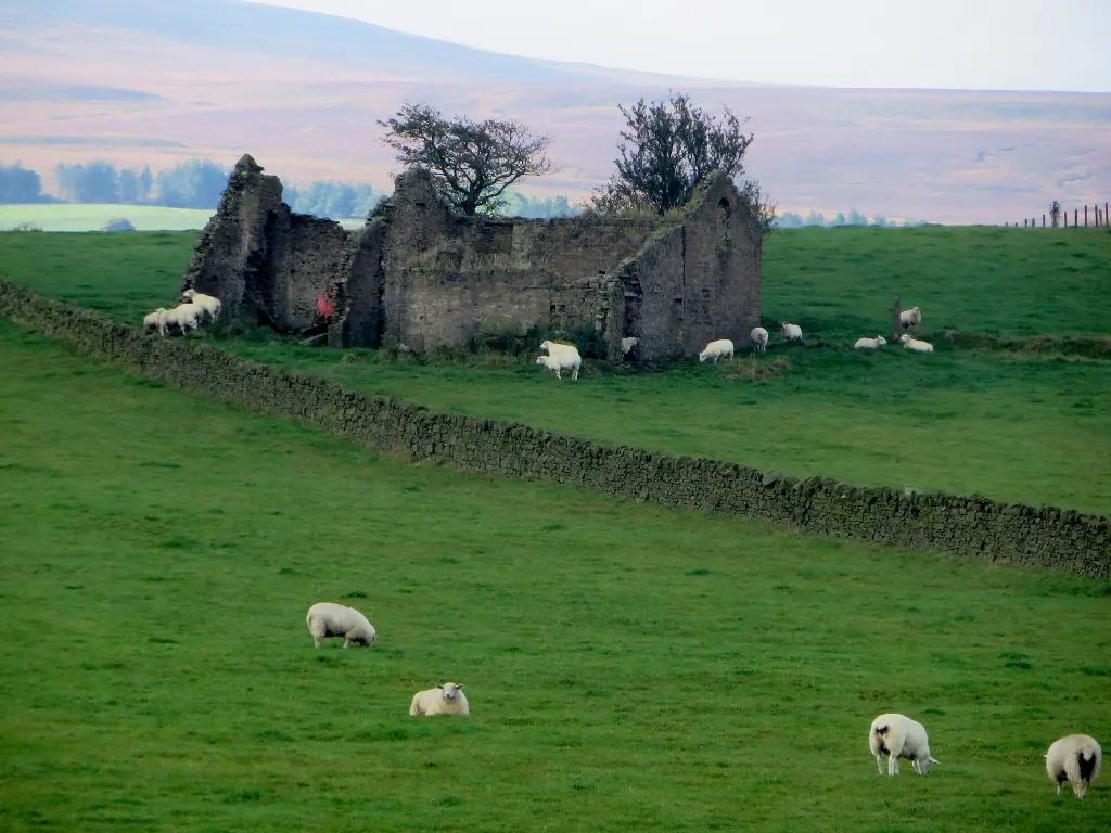 Photo showing: Derelict barn on Green Hill