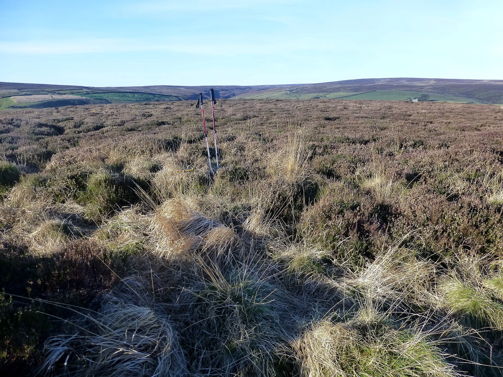 Photo showing: Nabs Heathery Flat Summit