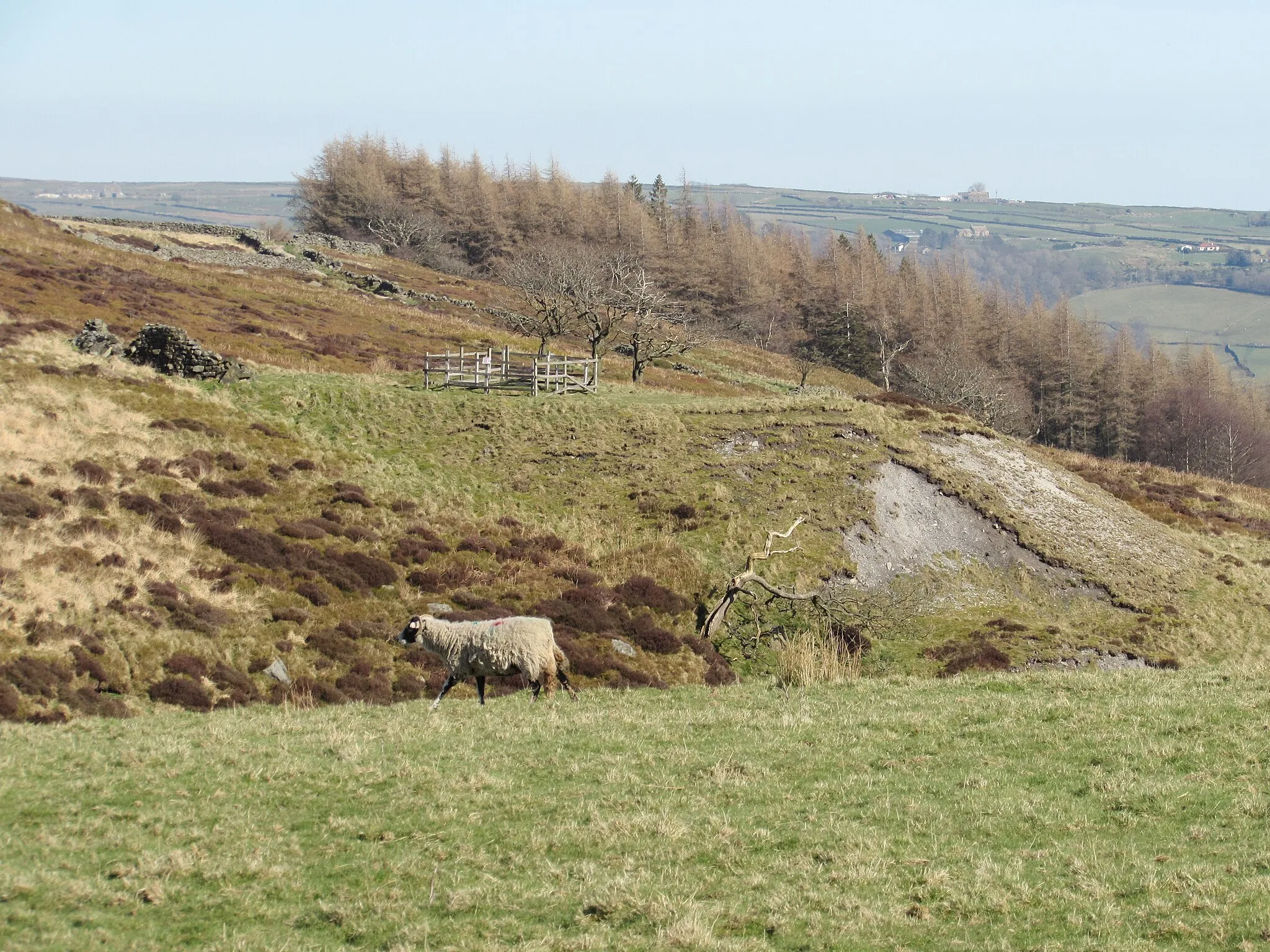 Photo showing: Known as Sir Thomas or Sun Side Pasture Shaft