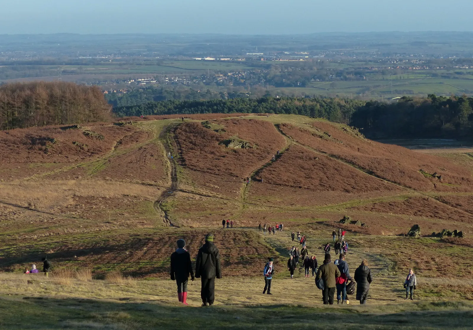 Photo showing: A busy day at Bradgate Country Park