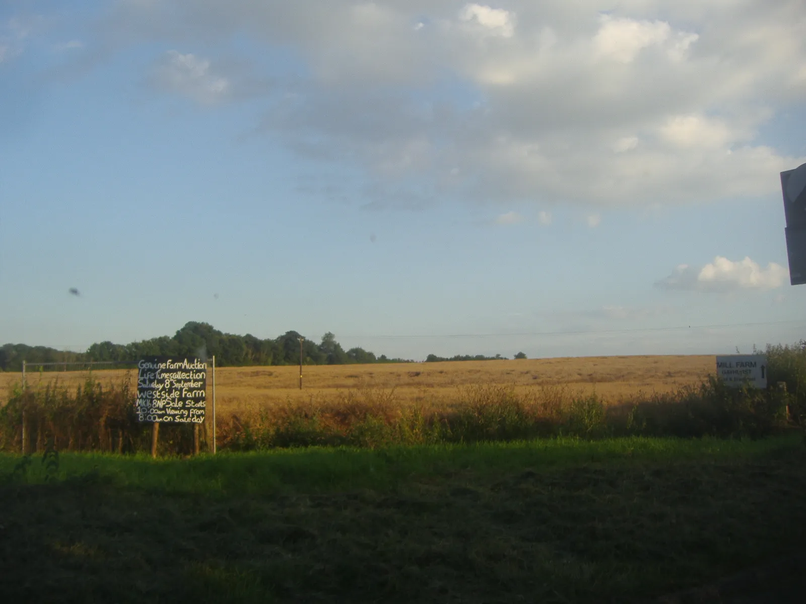 Photo showing: Field in Tyringham by the B 526