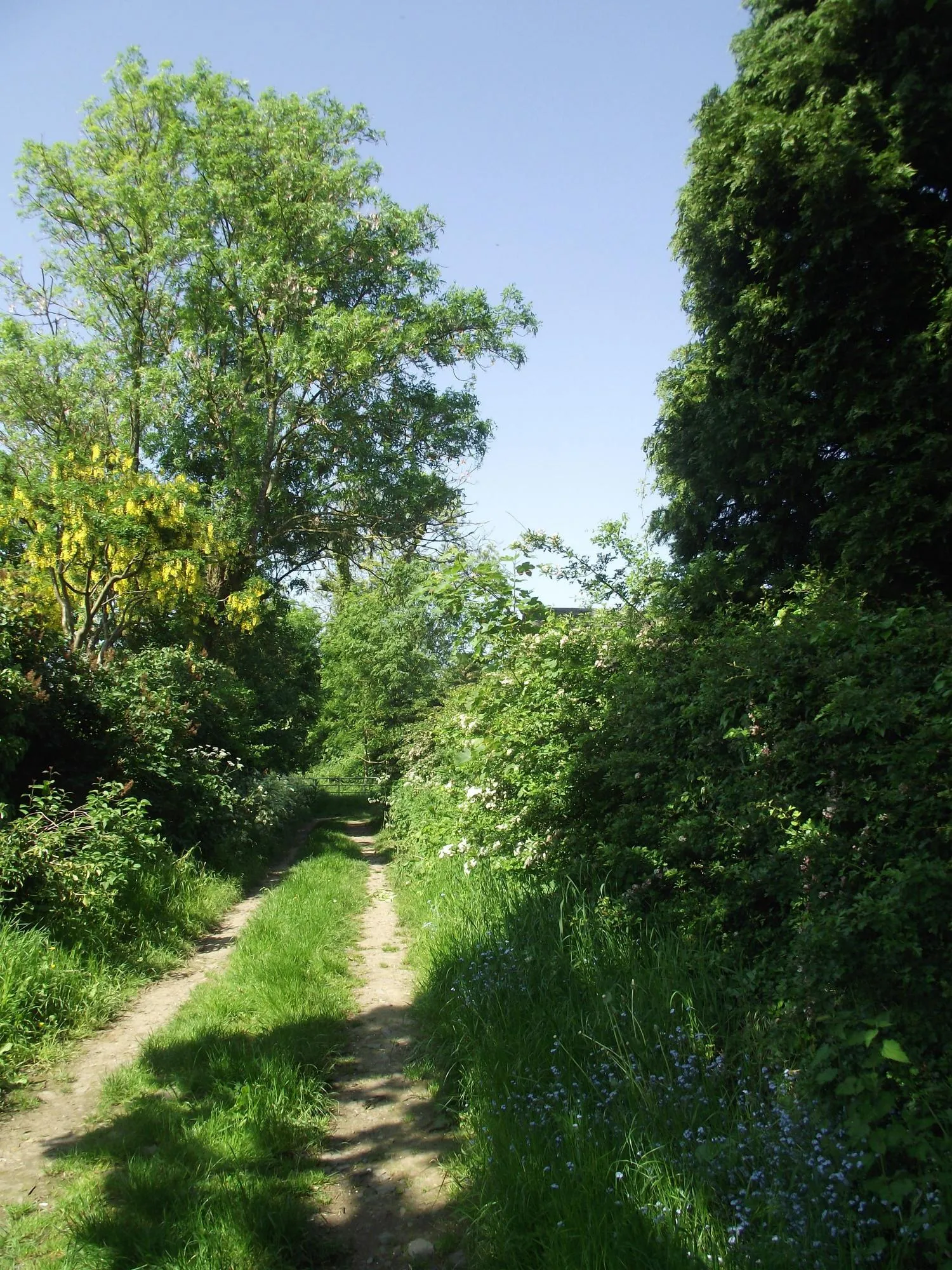Photo showing: A footpath from Swithland