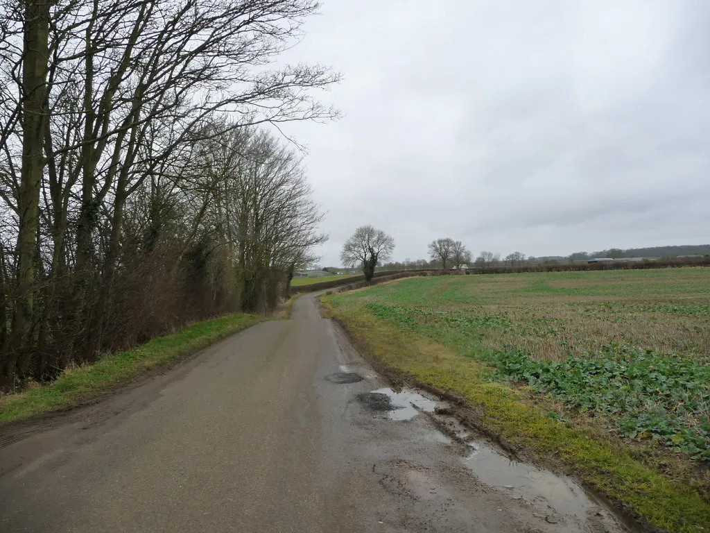 Photo showing: The road to Dairy Farm