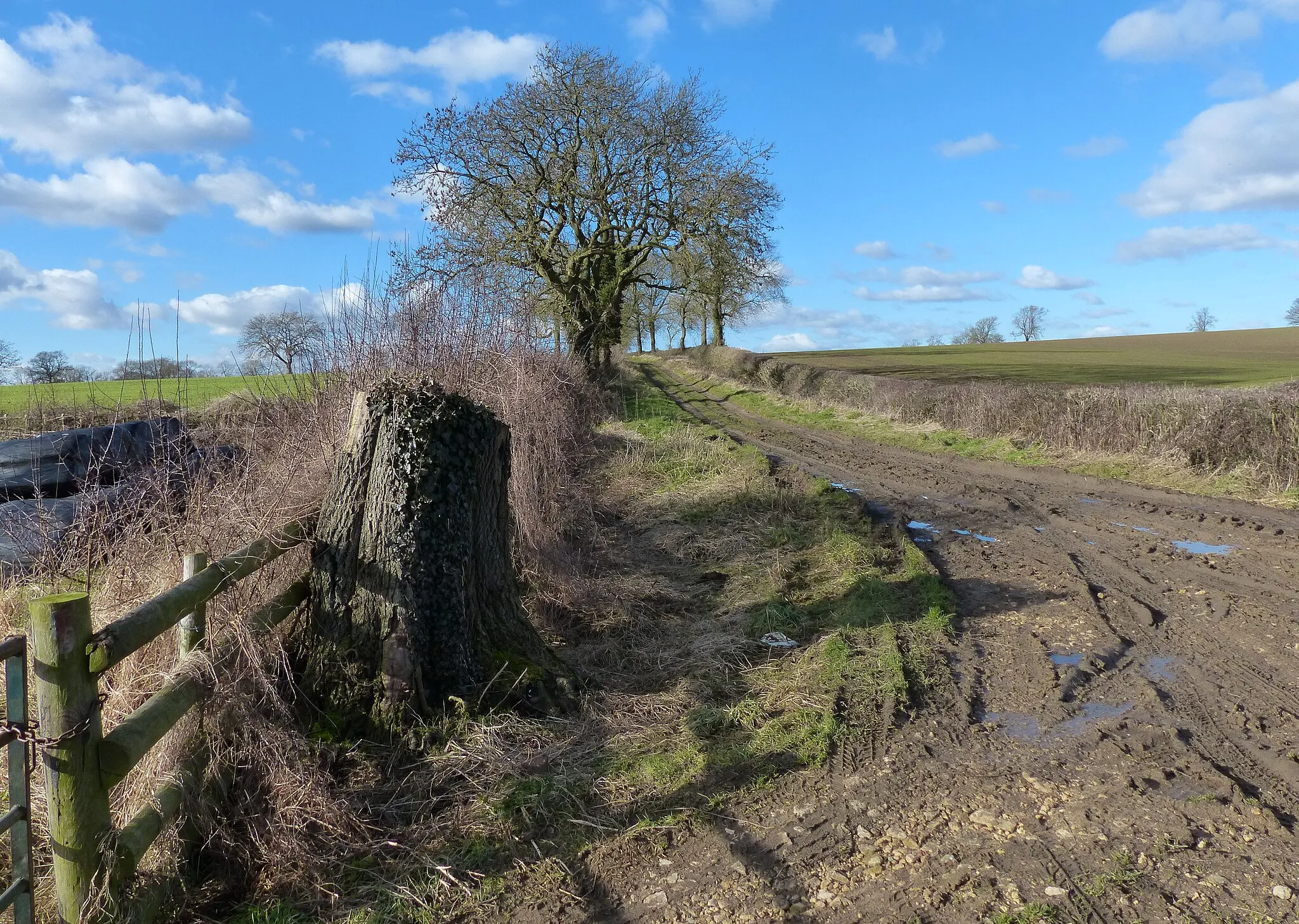 Photo showing: A muddy and rutted Gartree Road
