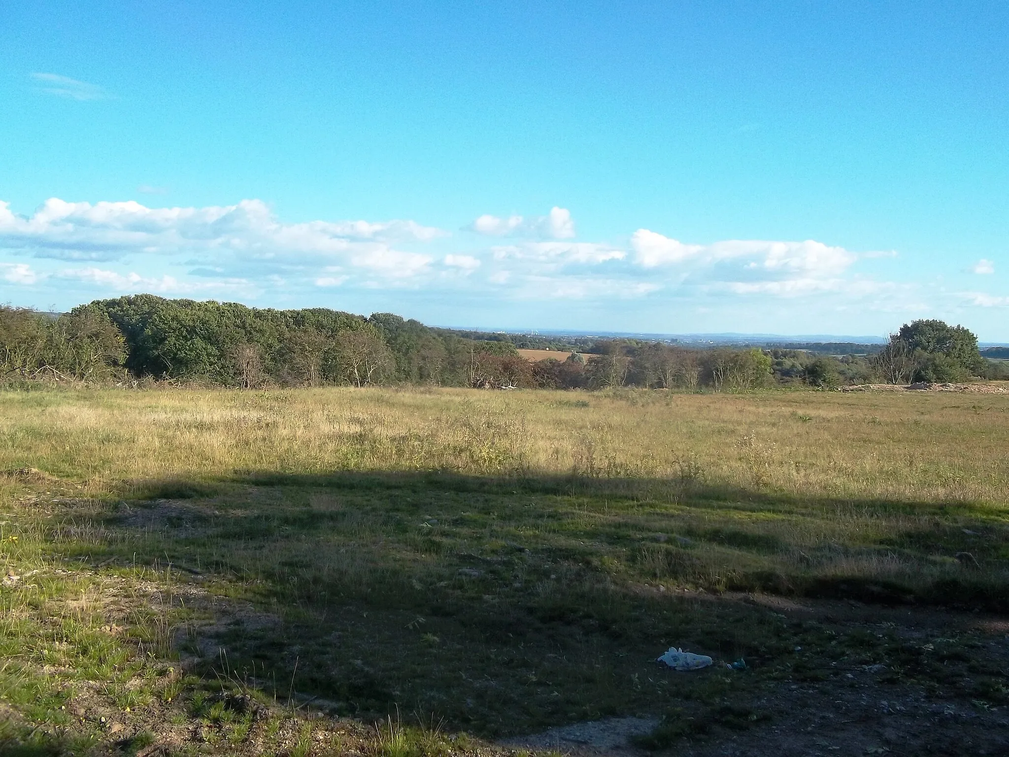 Photo showing: Area of Waste Ground off Bullhurst Lane