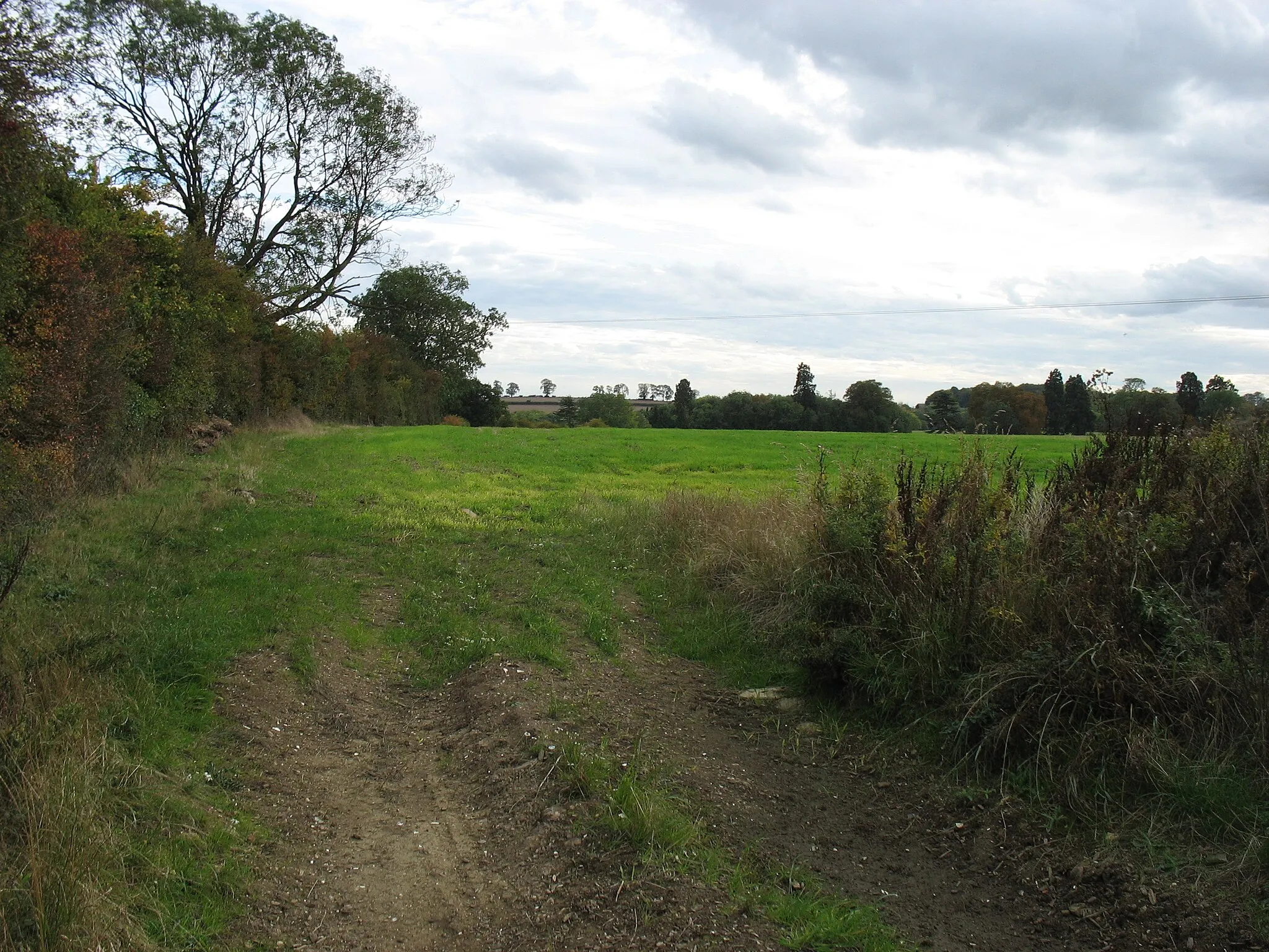 Photo showing: Field near Haselbech Grange