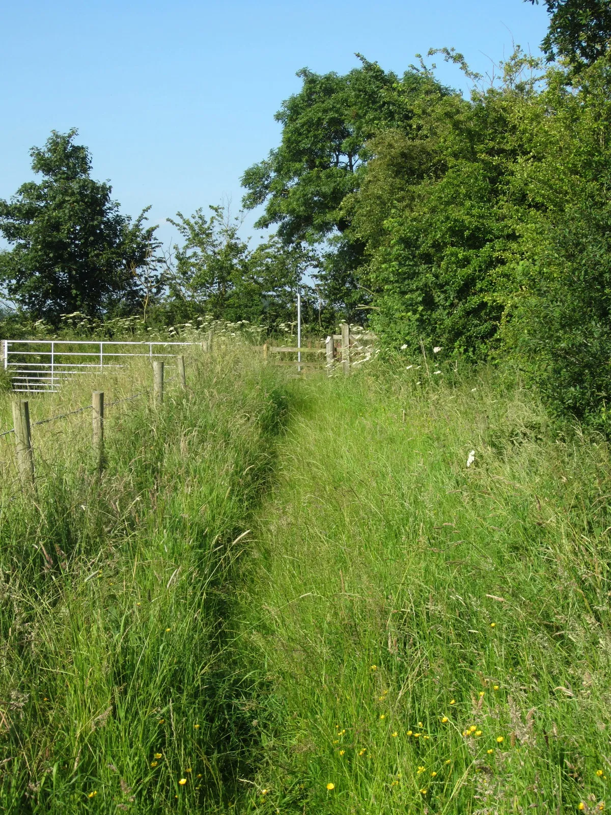 Photo showing: Bridleway comes out onto the road