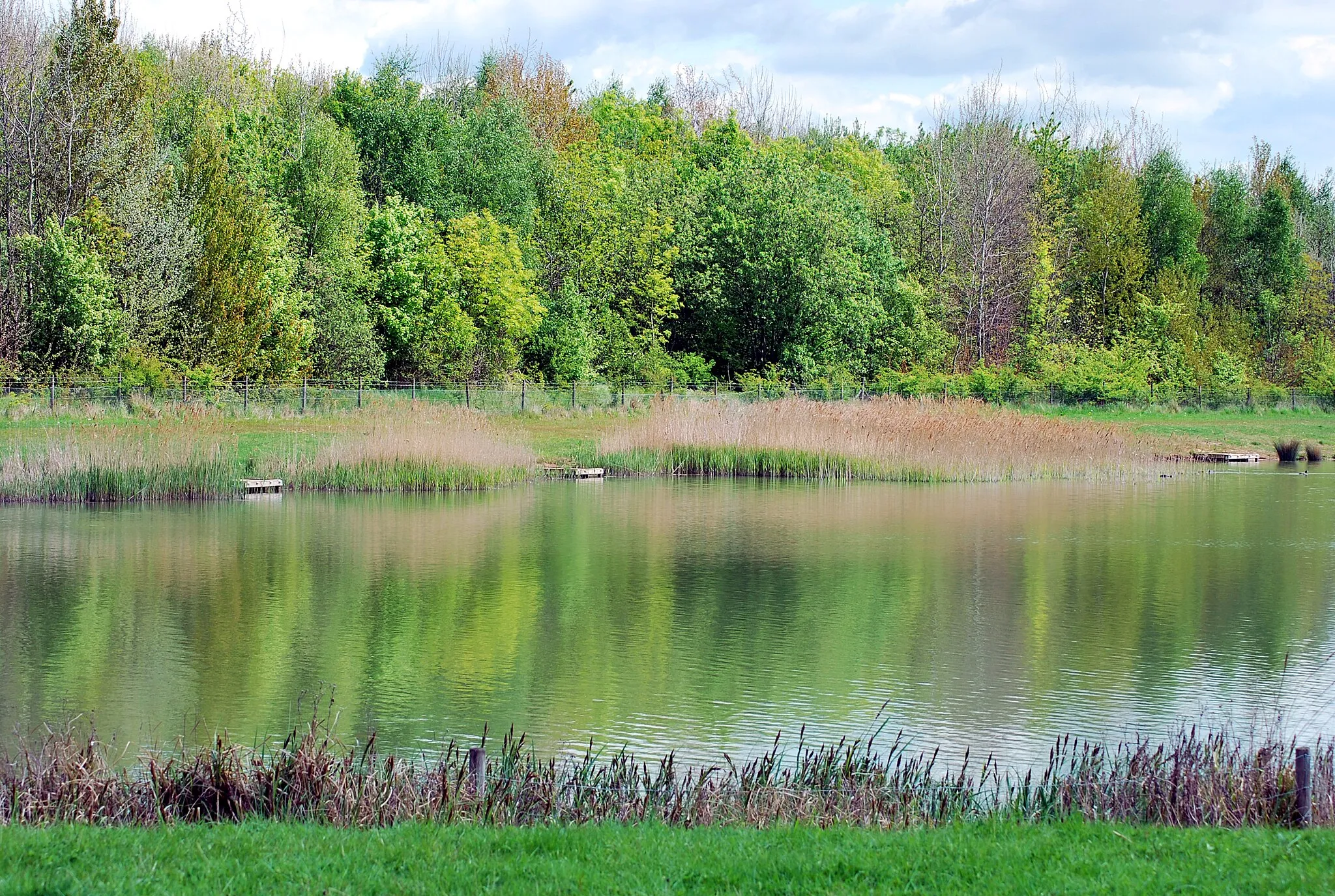 Photo showing: Cotgrave Country Park Lake