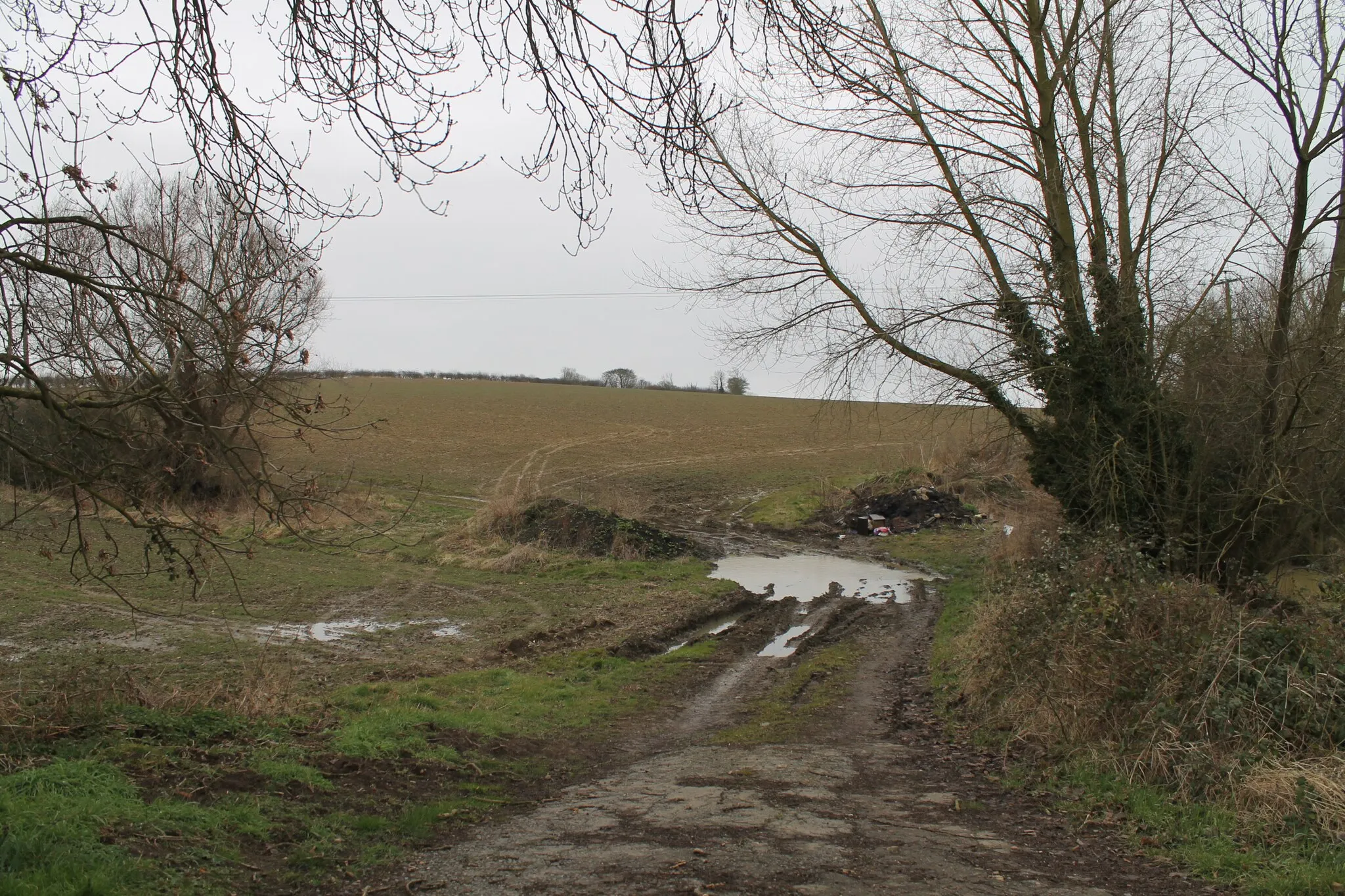 Photo showing: Farm track at Gelston