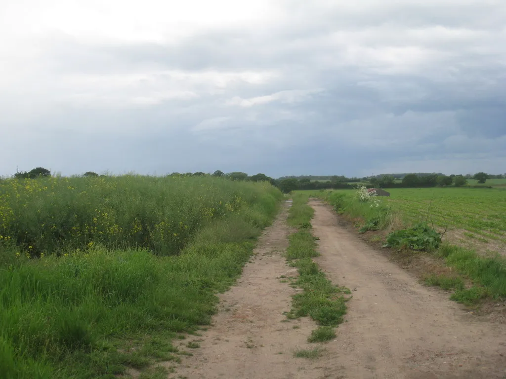 Photo showing: Farm track near Gelston Grange