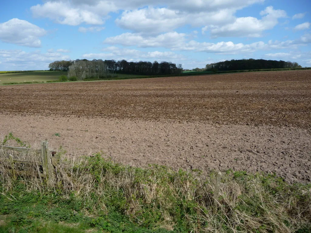 Photo showing: Bare farmland, north of Barn Farm
