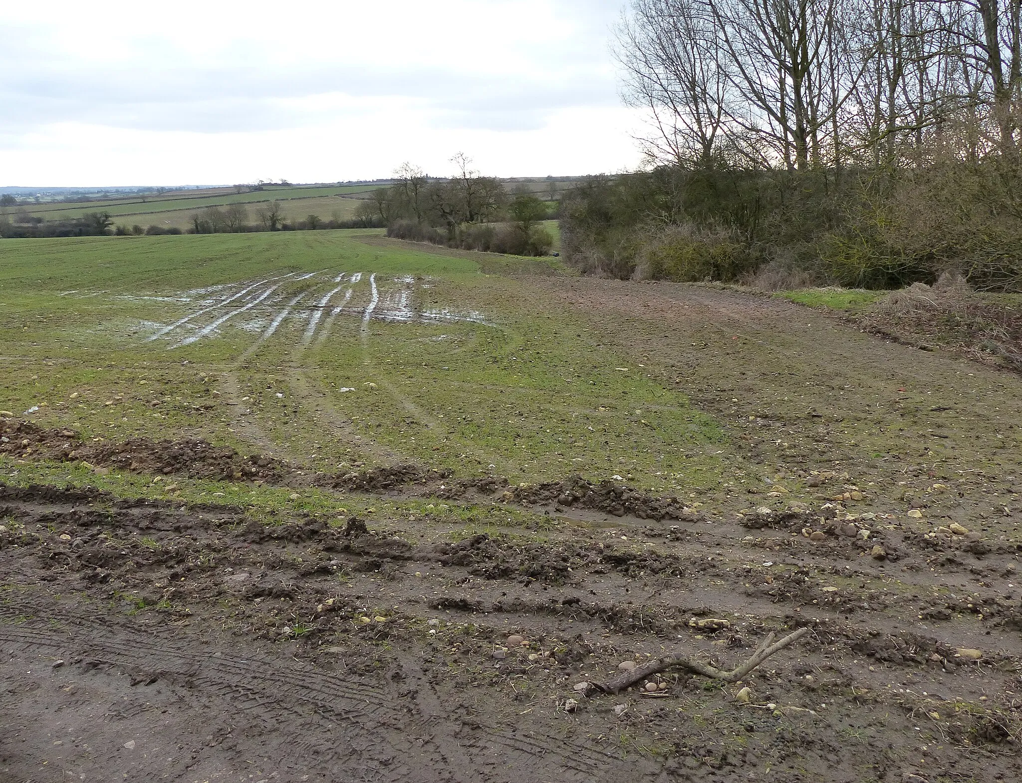 Photo showing: Farmland along Gartree Road