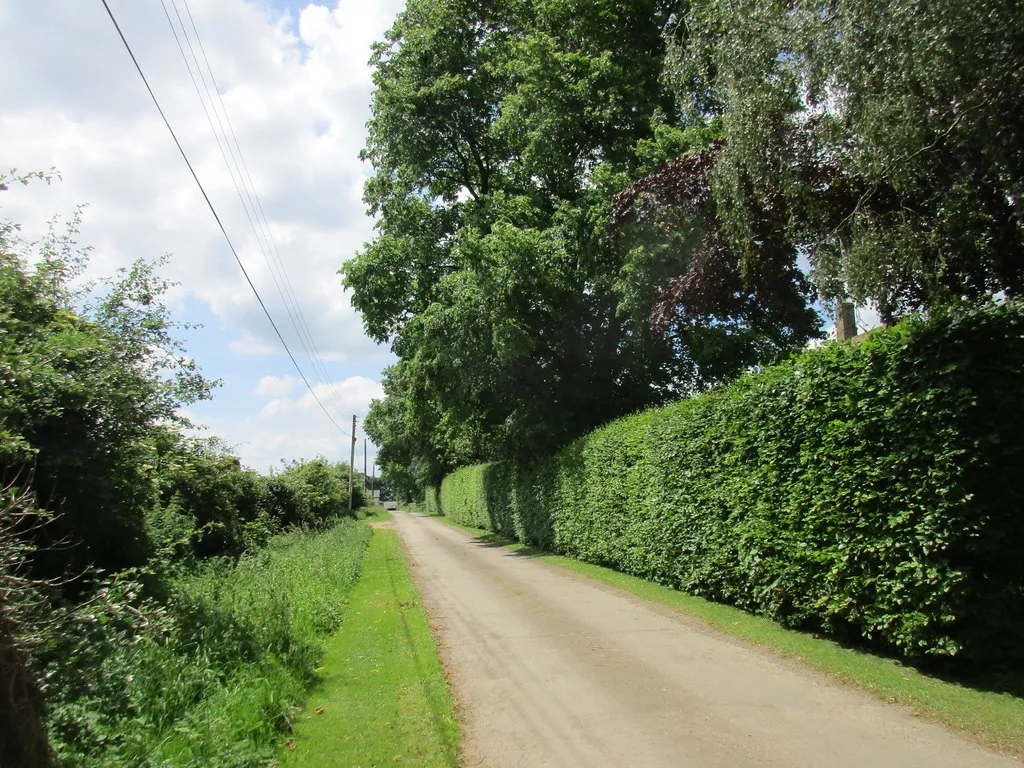 Photo showing: Road to Lower Farm, Halse
