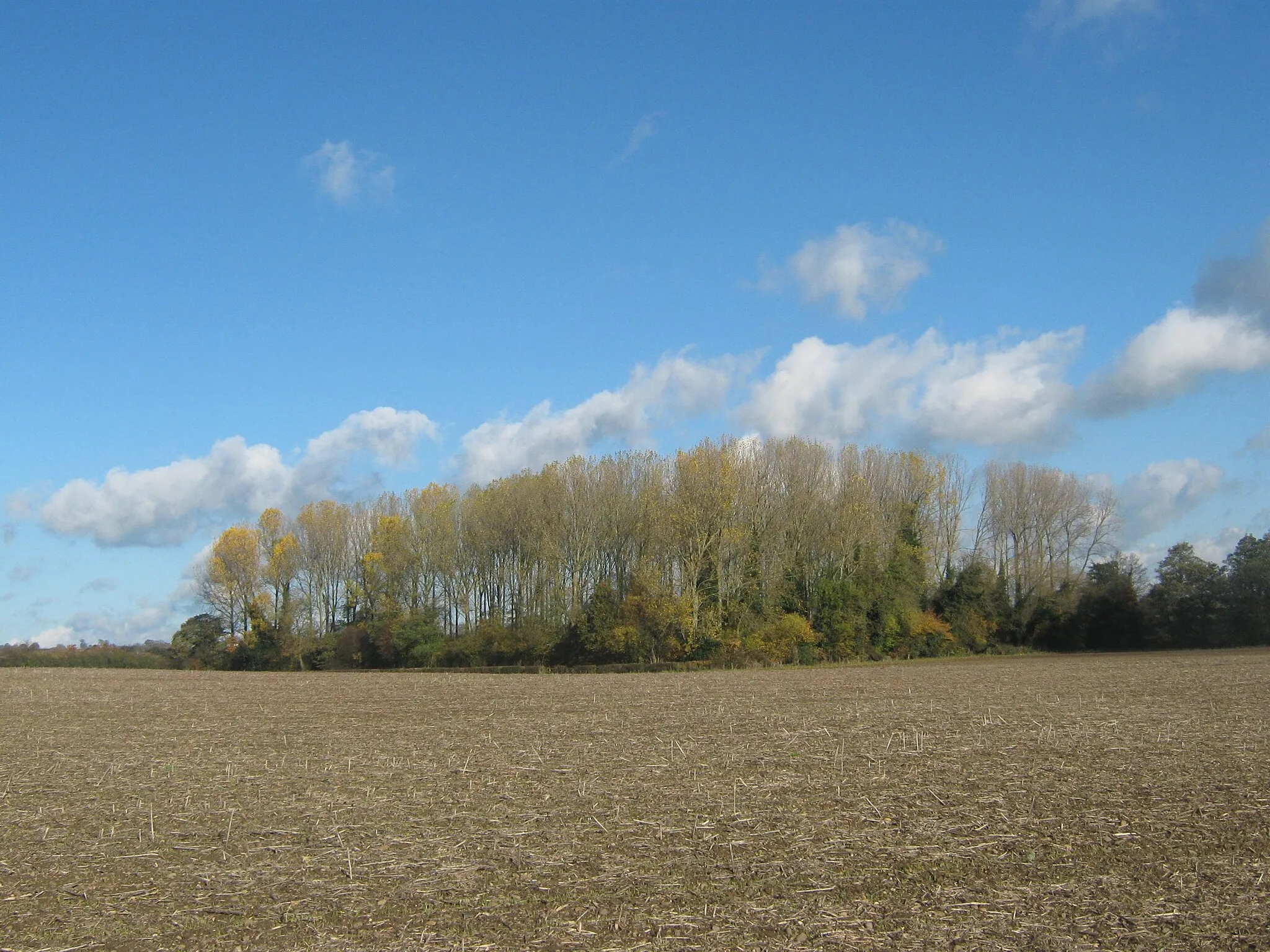 Photo showing: Finny Plantation, Rodsley, Derbyshire