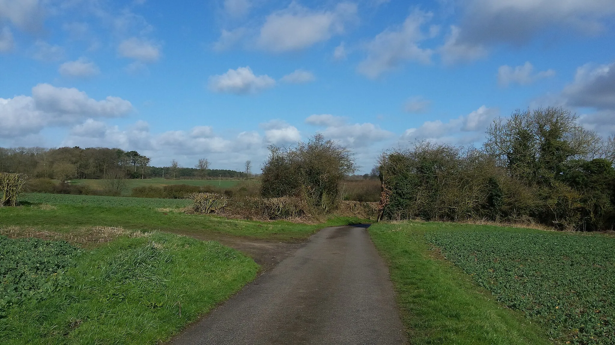 Photo showing: A road through fields
