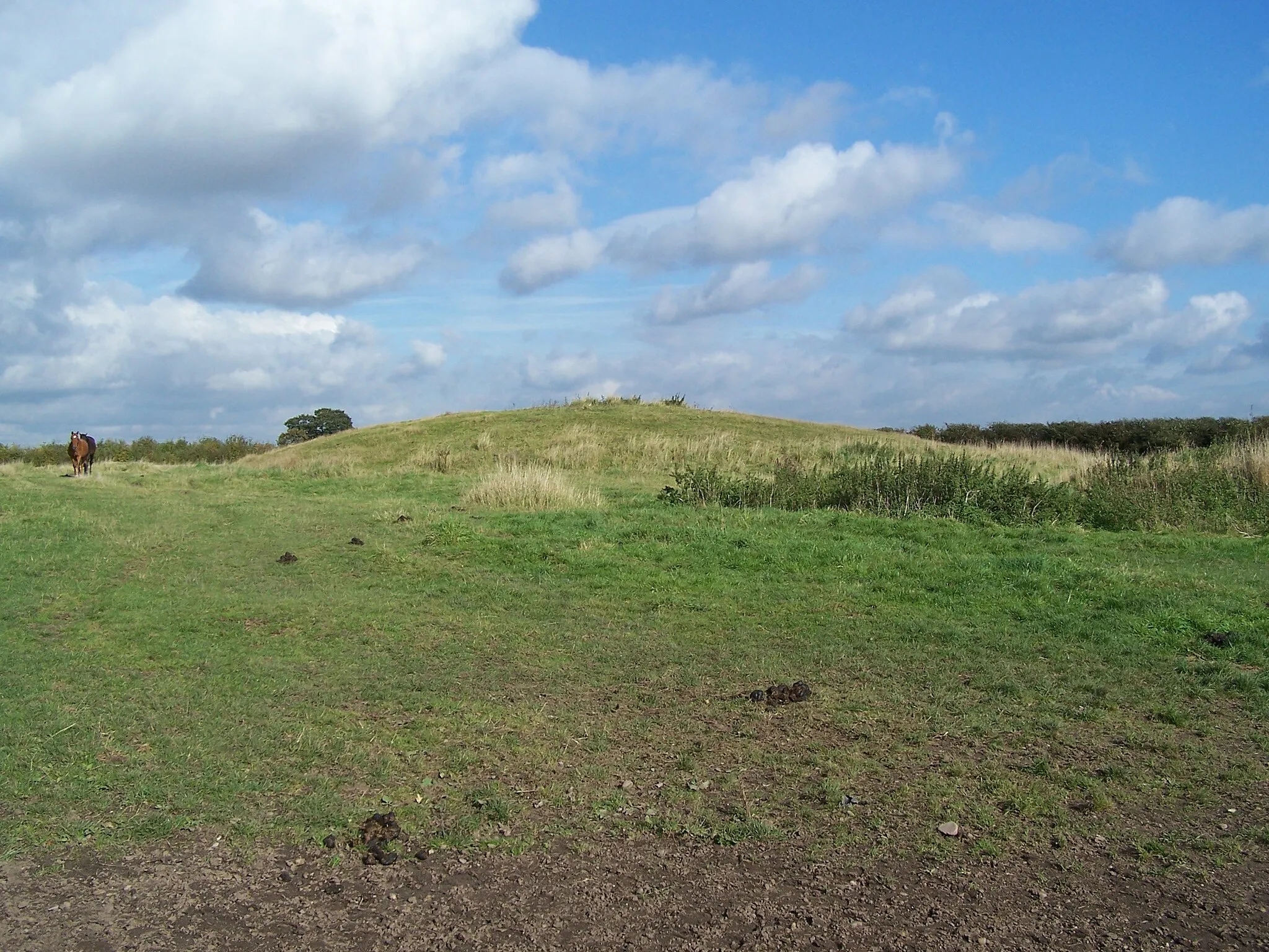 Photo showing: One of the remaining burial mounds that are left by the side of the once very important road.