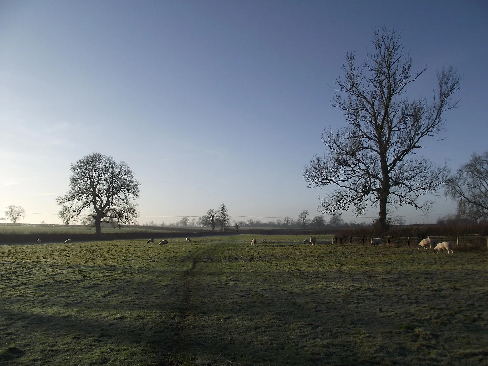 Photo showing: Bridleway from Countesthorpe to Westdale Farm