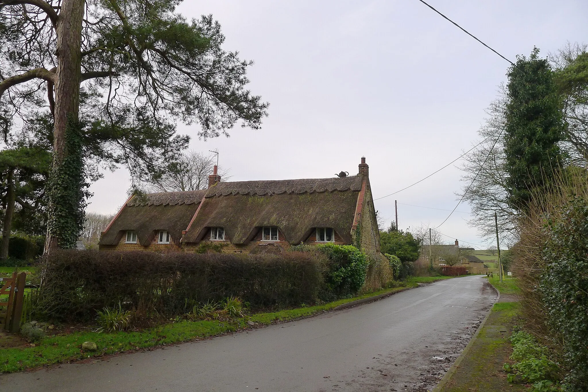 Photo showing: Holly Cottage, Main Street, Loddington