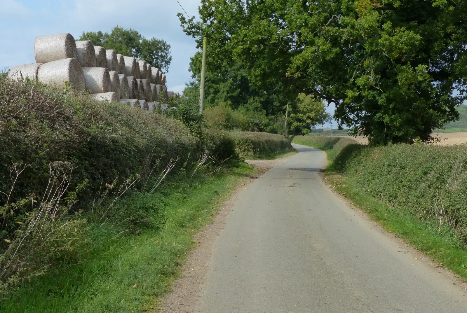 Photo showing: Country lane and bales near Loddington