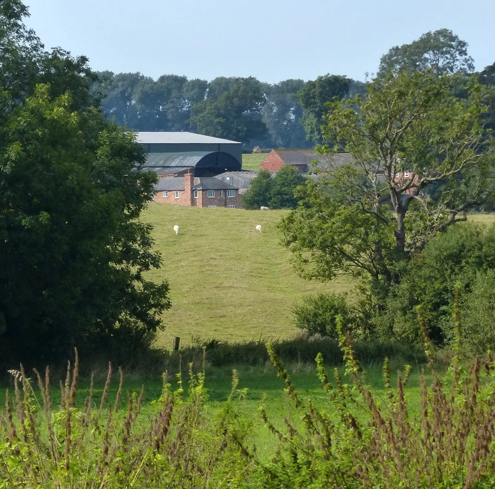 Photo showing: A glimpse of Wistow Grange