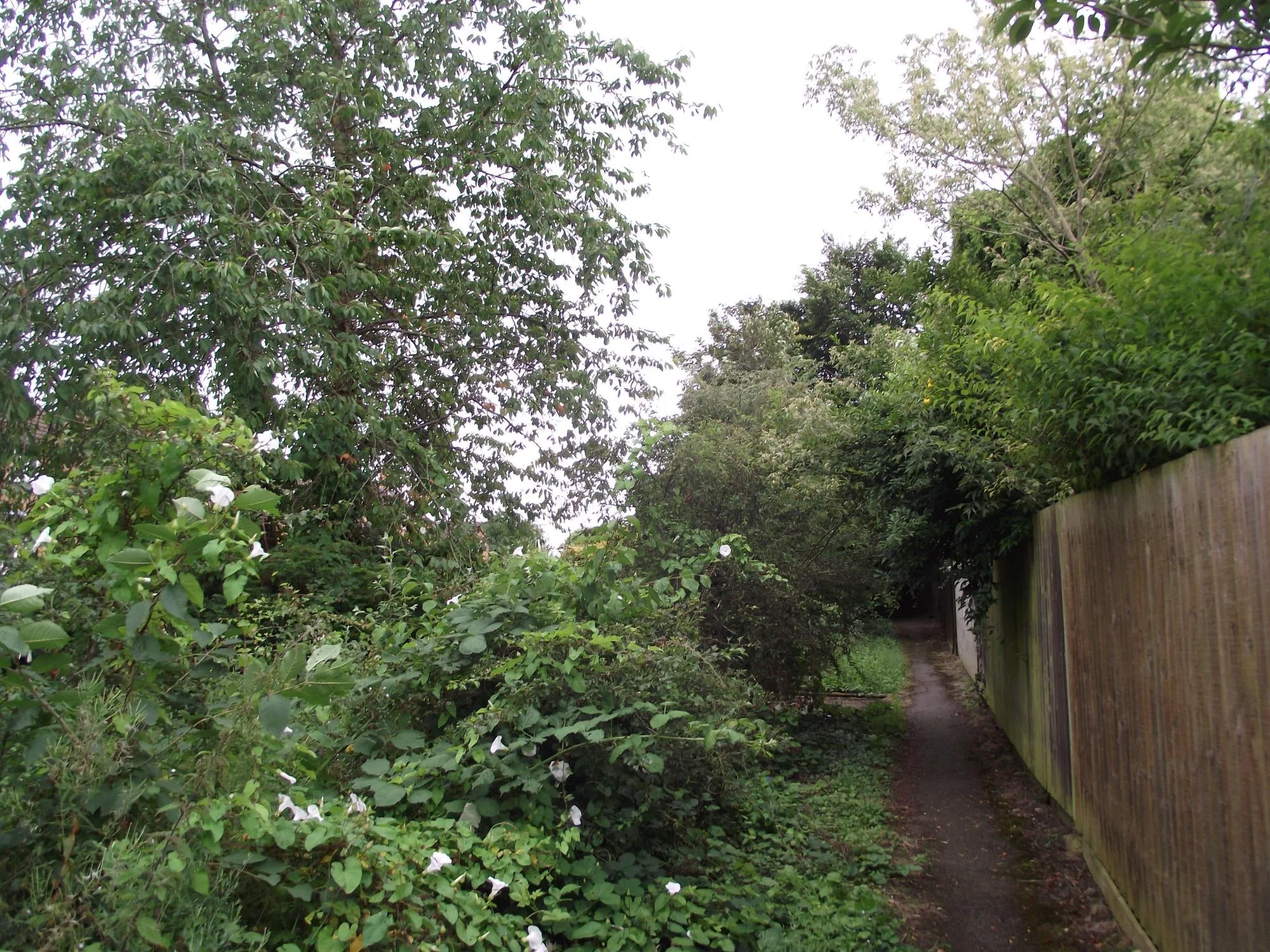 Photo showing: Footpath from the Uppingham Road to Main Street