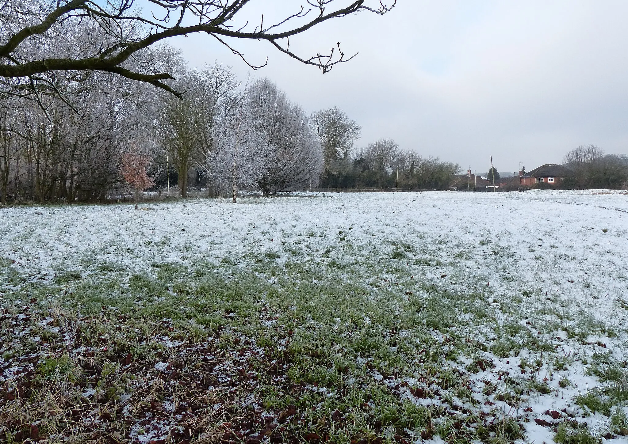 Photo showing: A frozen Church Field