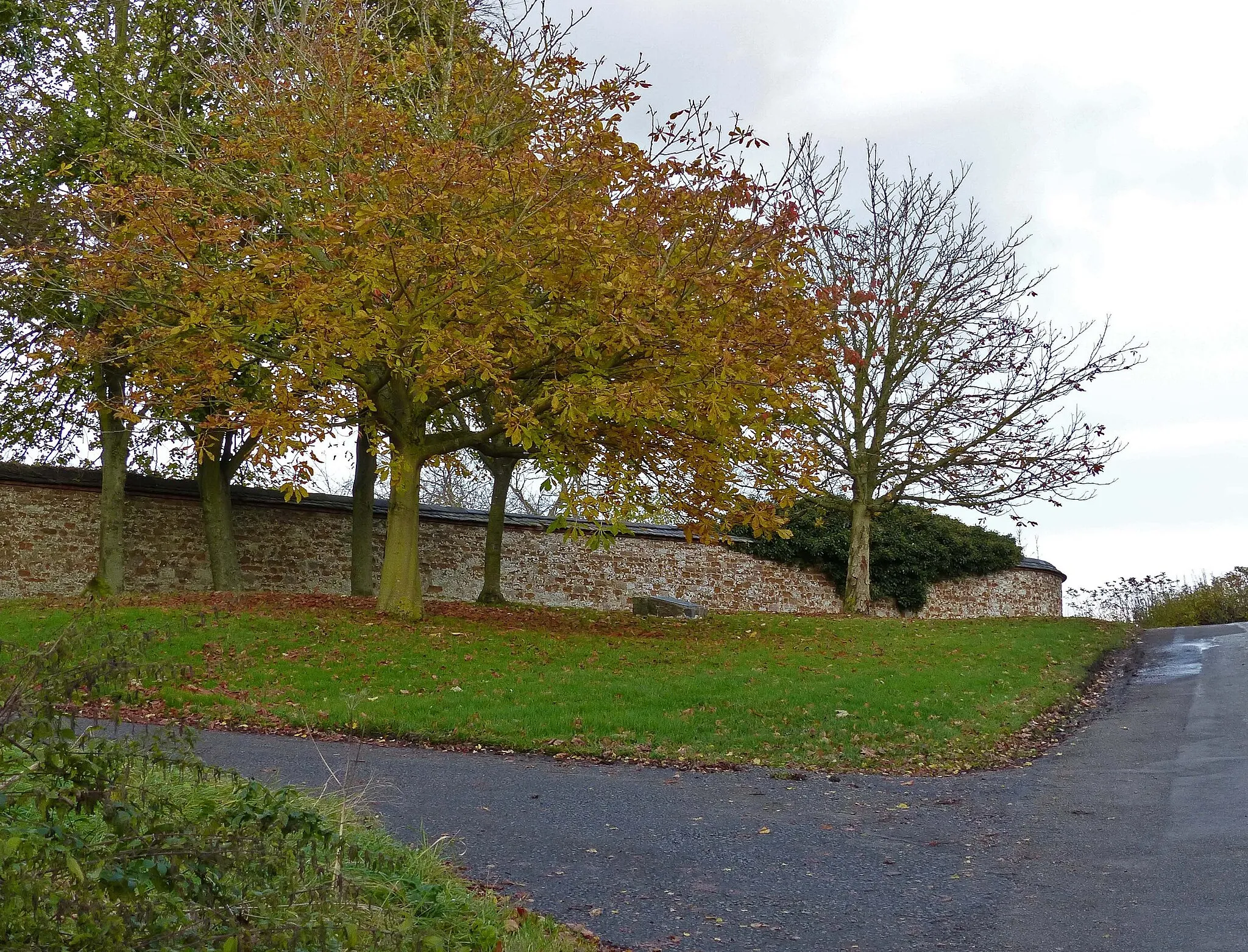 Photo showing: Autumn colours along Ingarsby Lane