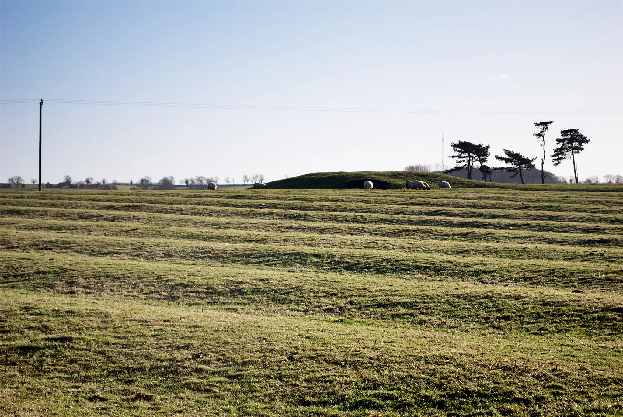 Photo showing: Cold Newton ridge and furrow