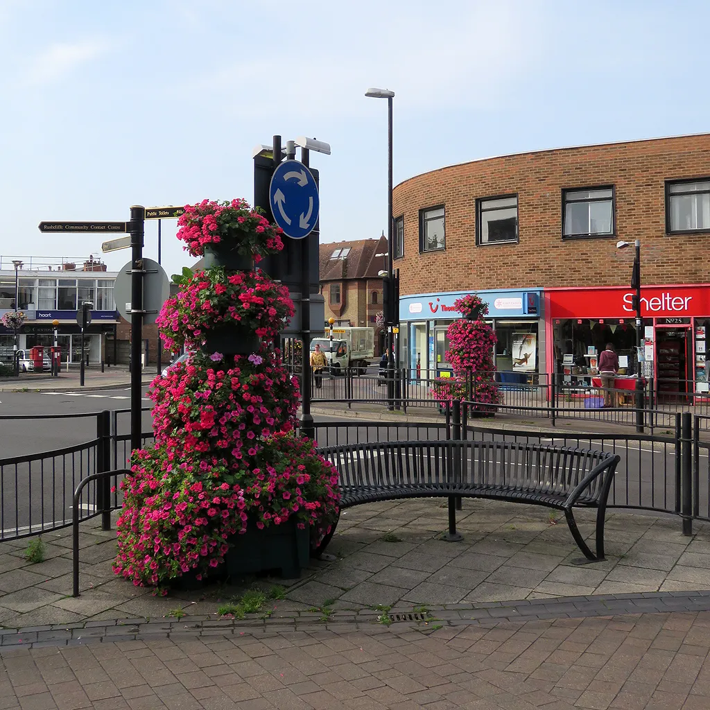 Photo showing: West Bridgford: petunias in Tudor Square