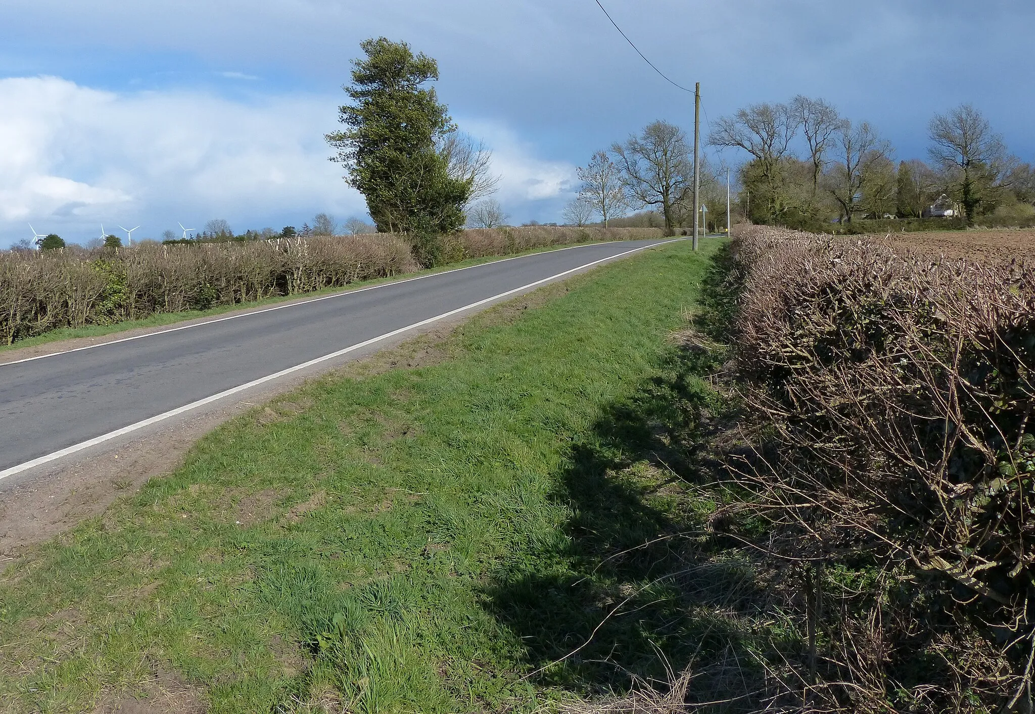 Photo showing: Ashby Lane south of Ashby Parva