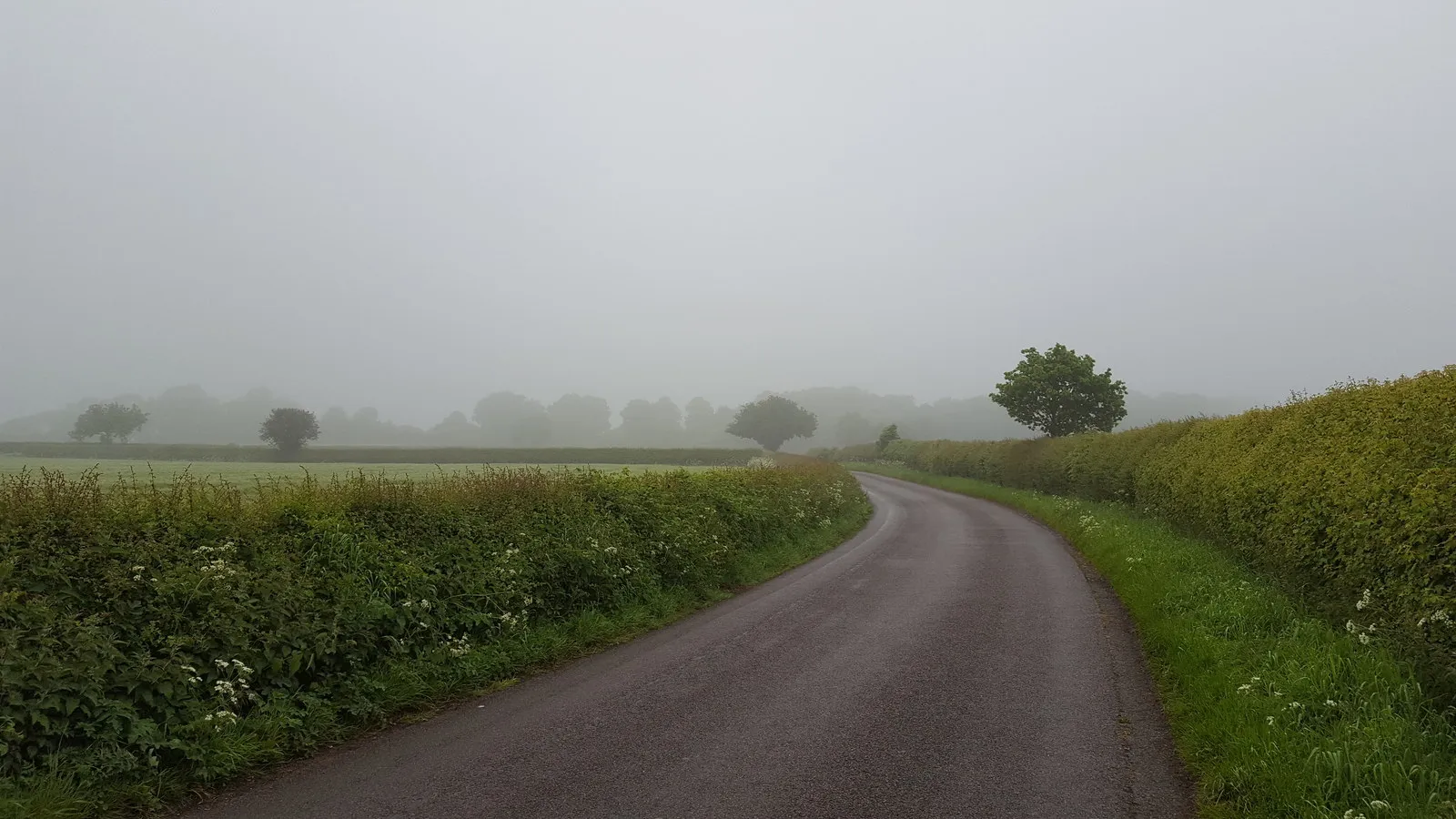 Photo showing: Barwell Lane