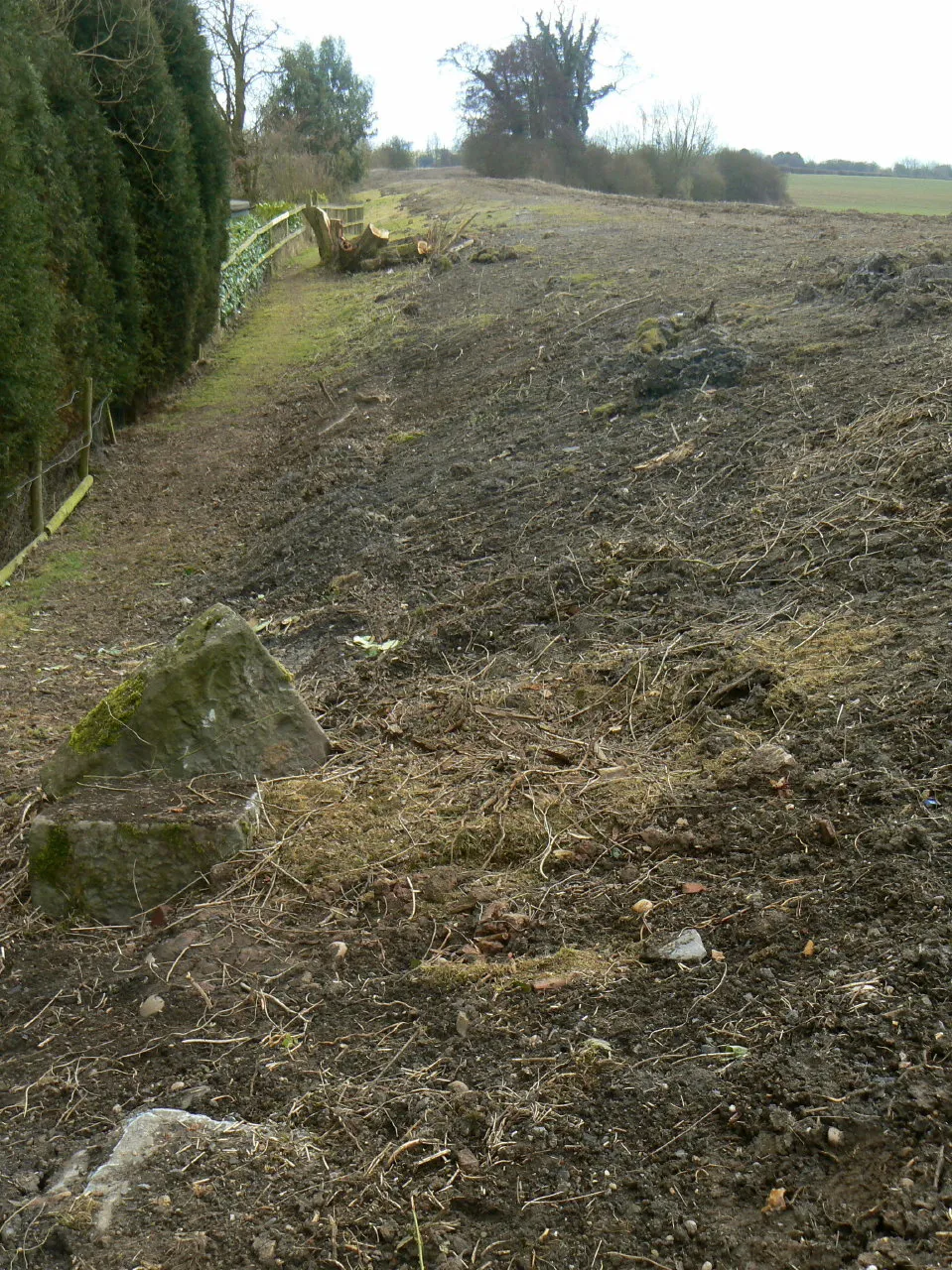 Photo showing: Ashby Canal embankment Looking south from near the bridge over the Gilwiskaw Brook.