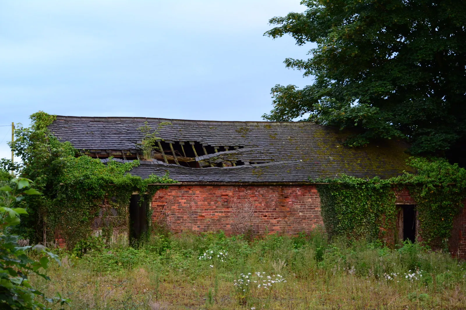 Photo showing: A derelict barn at Hall Farm, Packington