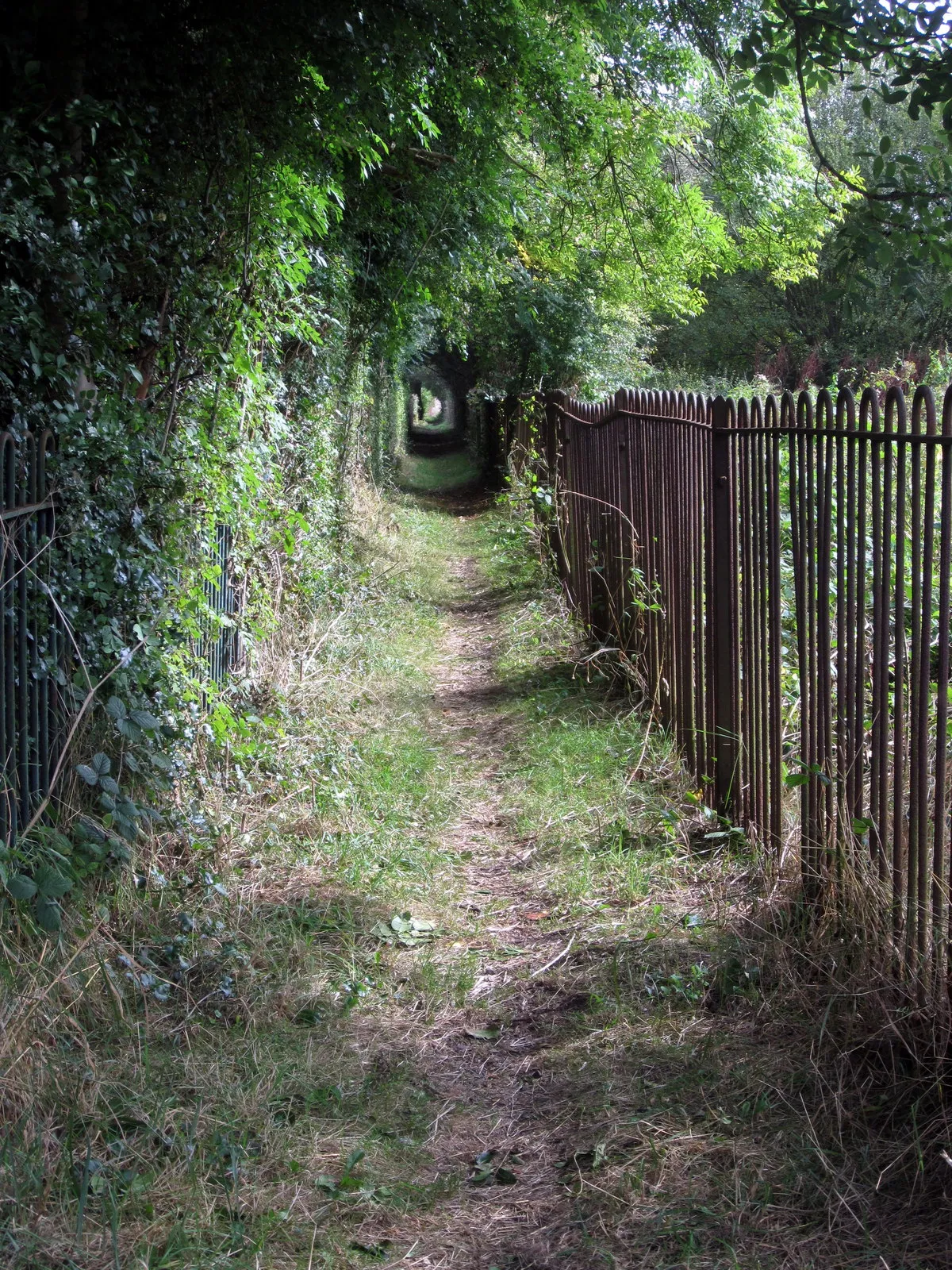 Photo showing: Footpath to Gorsey Leys