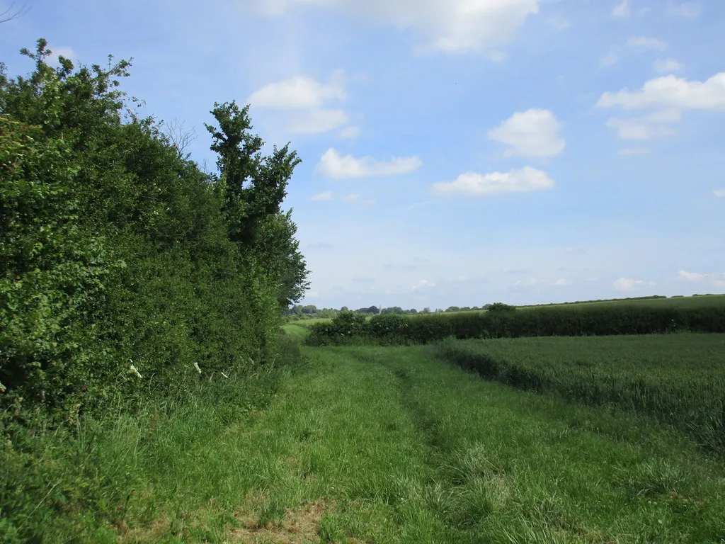 Photo showing: Footpath to Whitfield