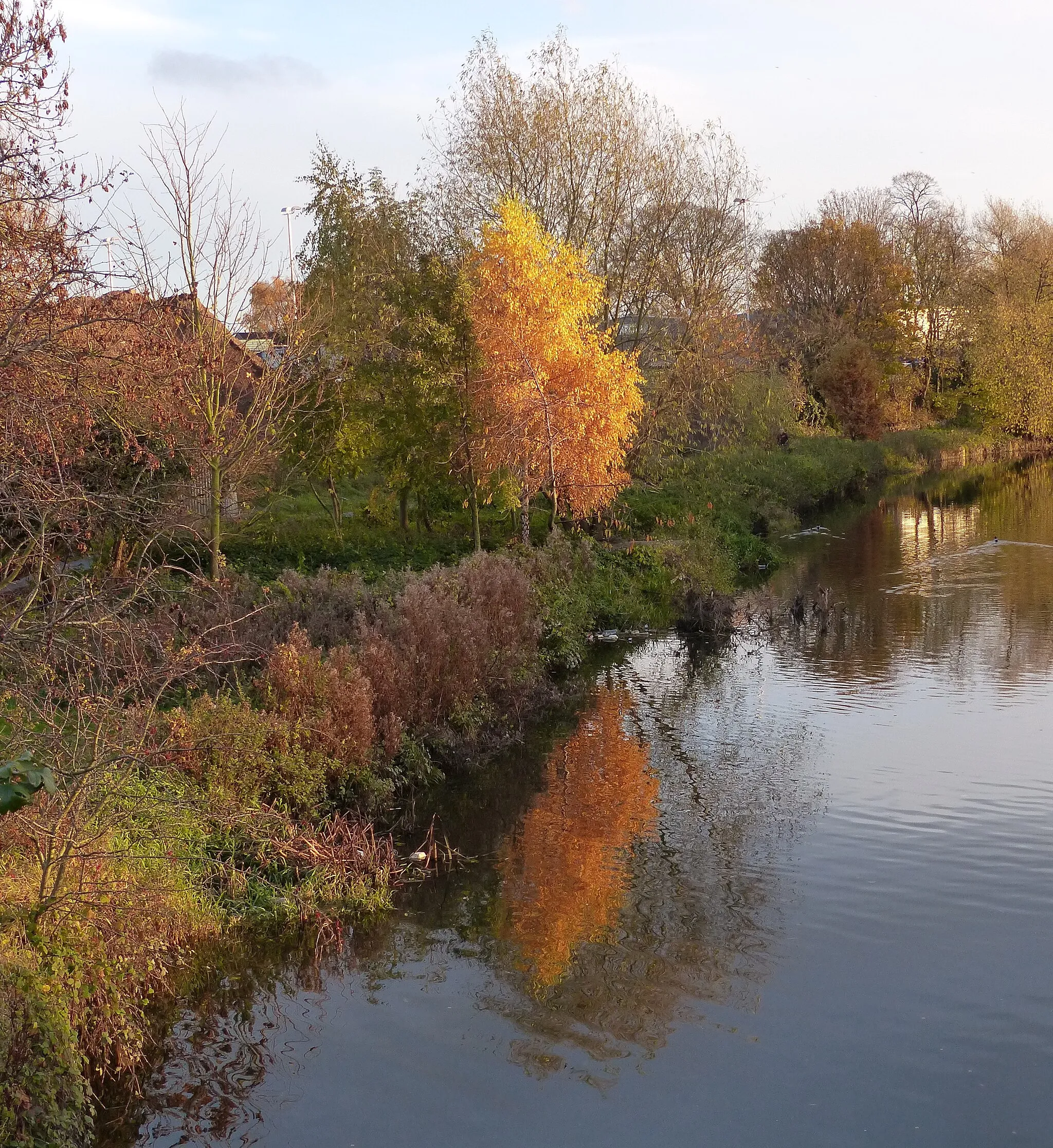 Photo showing: Autumn along the Grand Union Canal