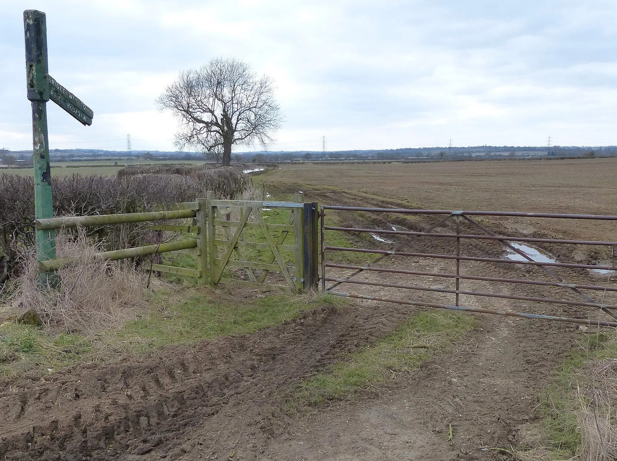 Photo showing: Bridleway to Great Bowden